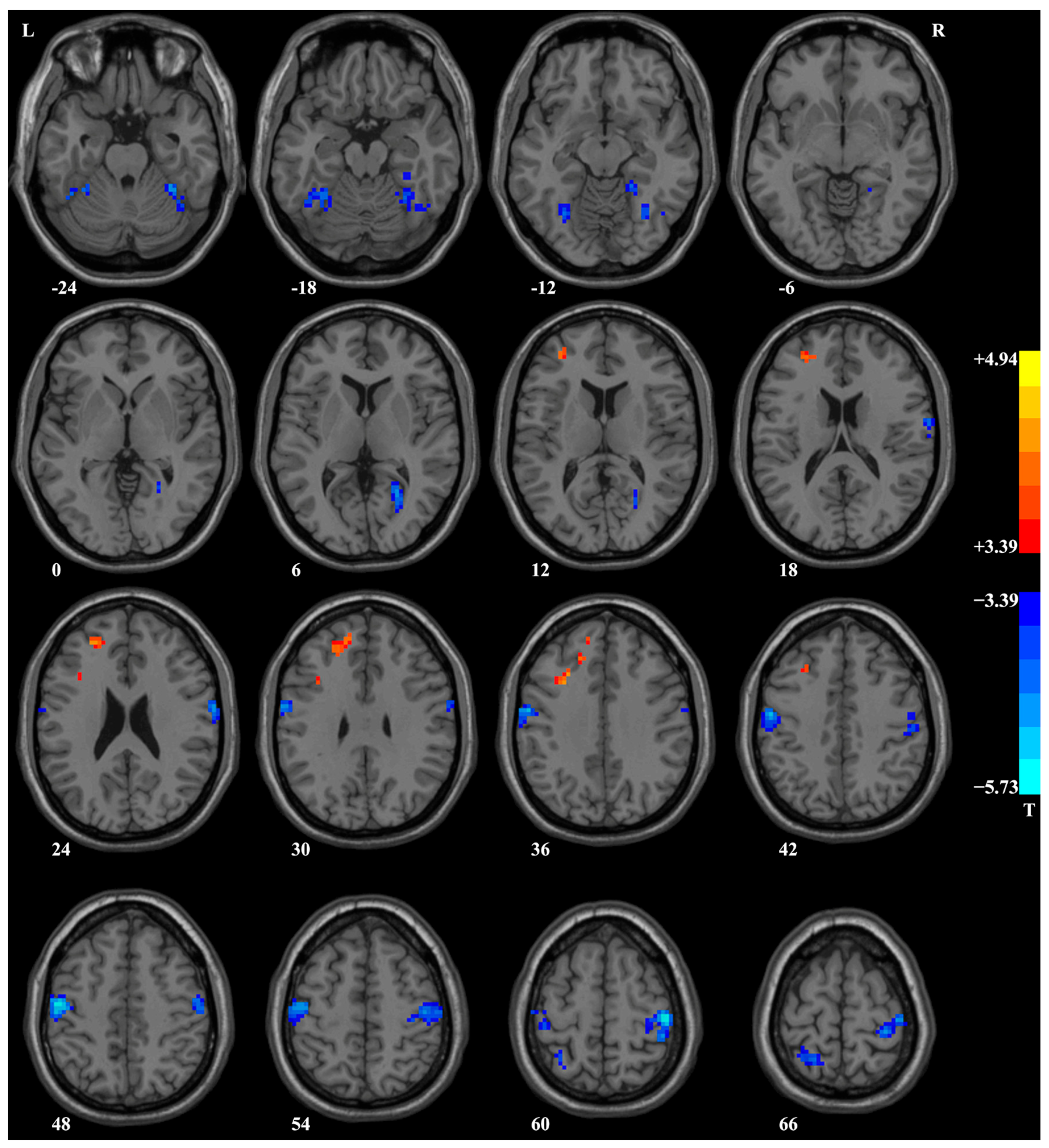 Biomedicines 11 02420 g002