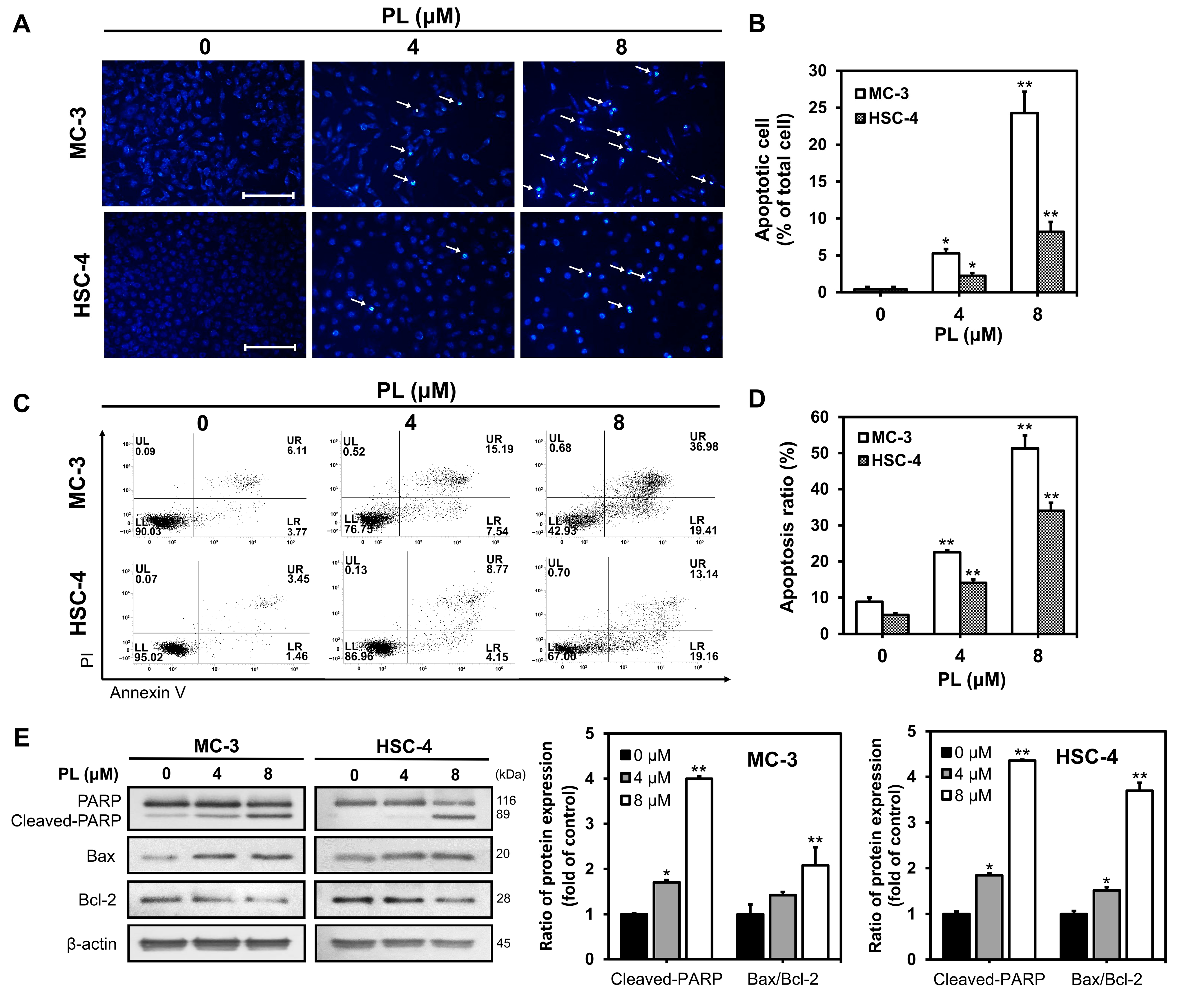 Biomedicines 11 02442 g002