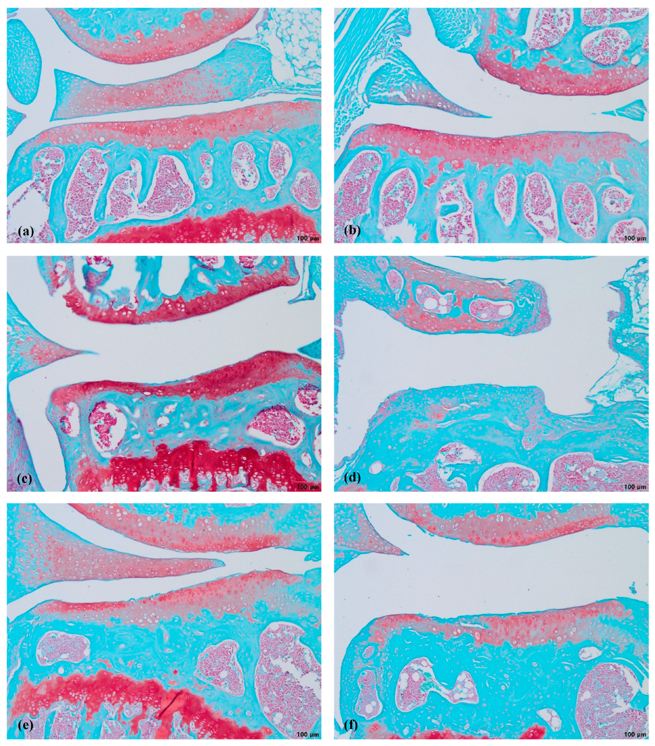 Biomedicines 11 02443 g003