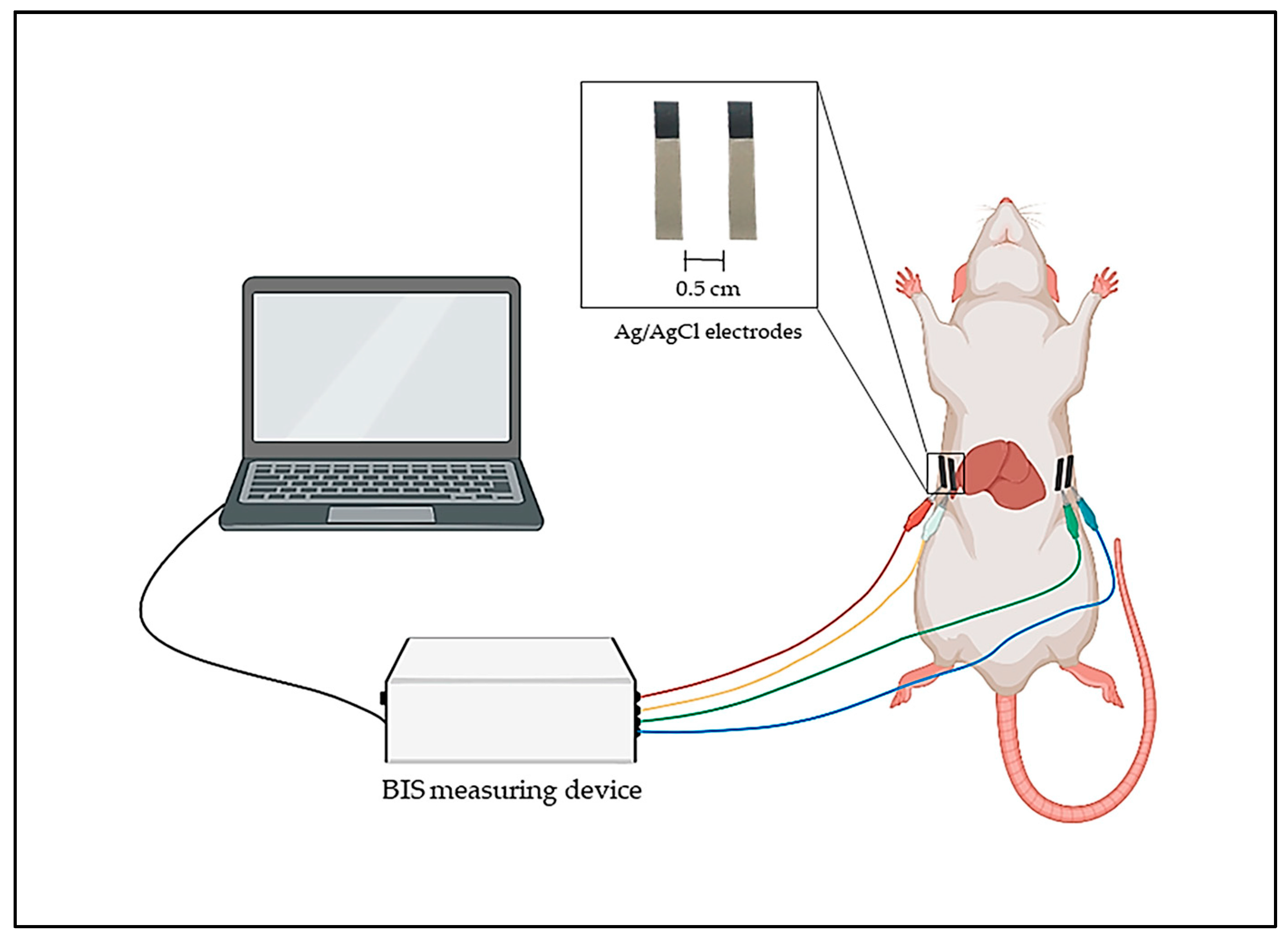Biomedicines 11 02449 g002
