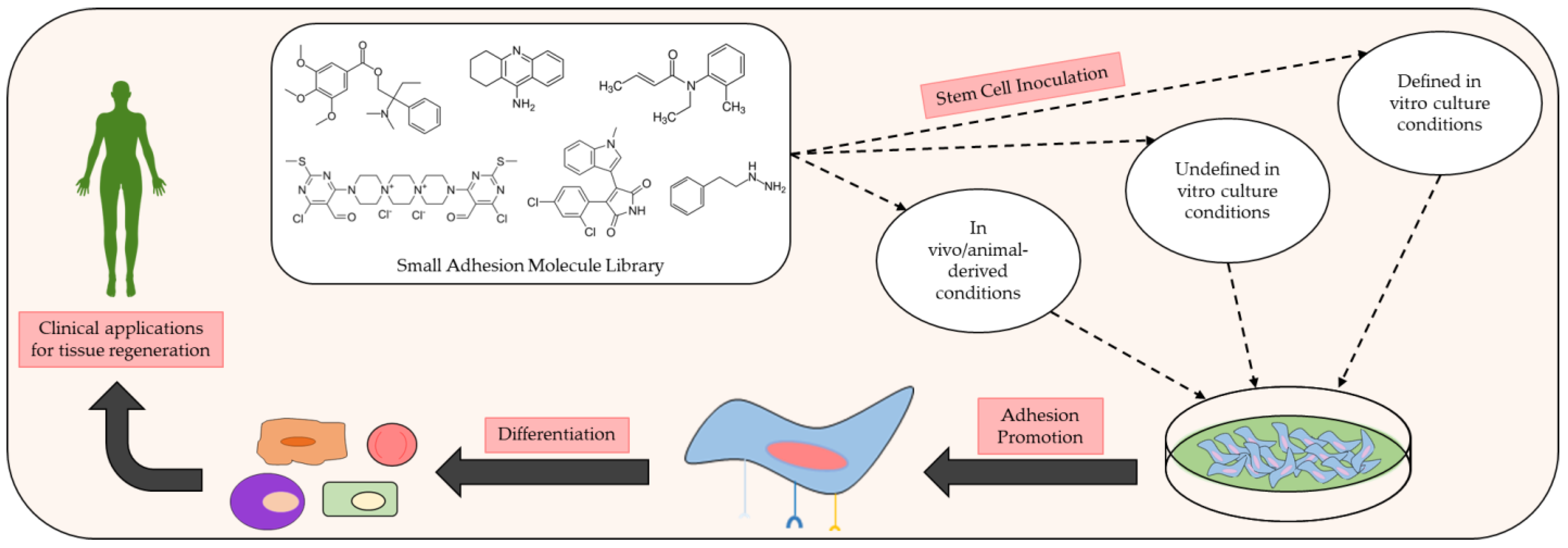Biomedicines 11 02507 g001