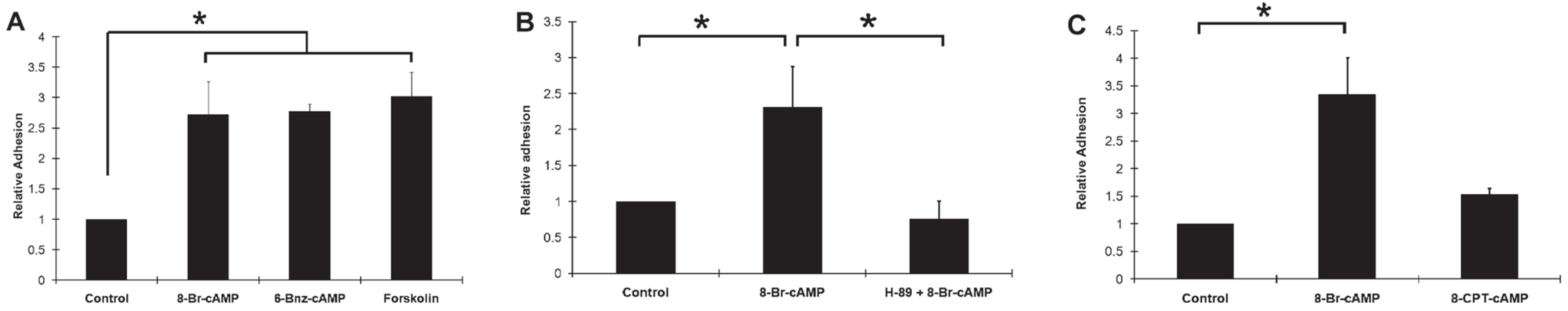 Biomedicines 11 02507 g005