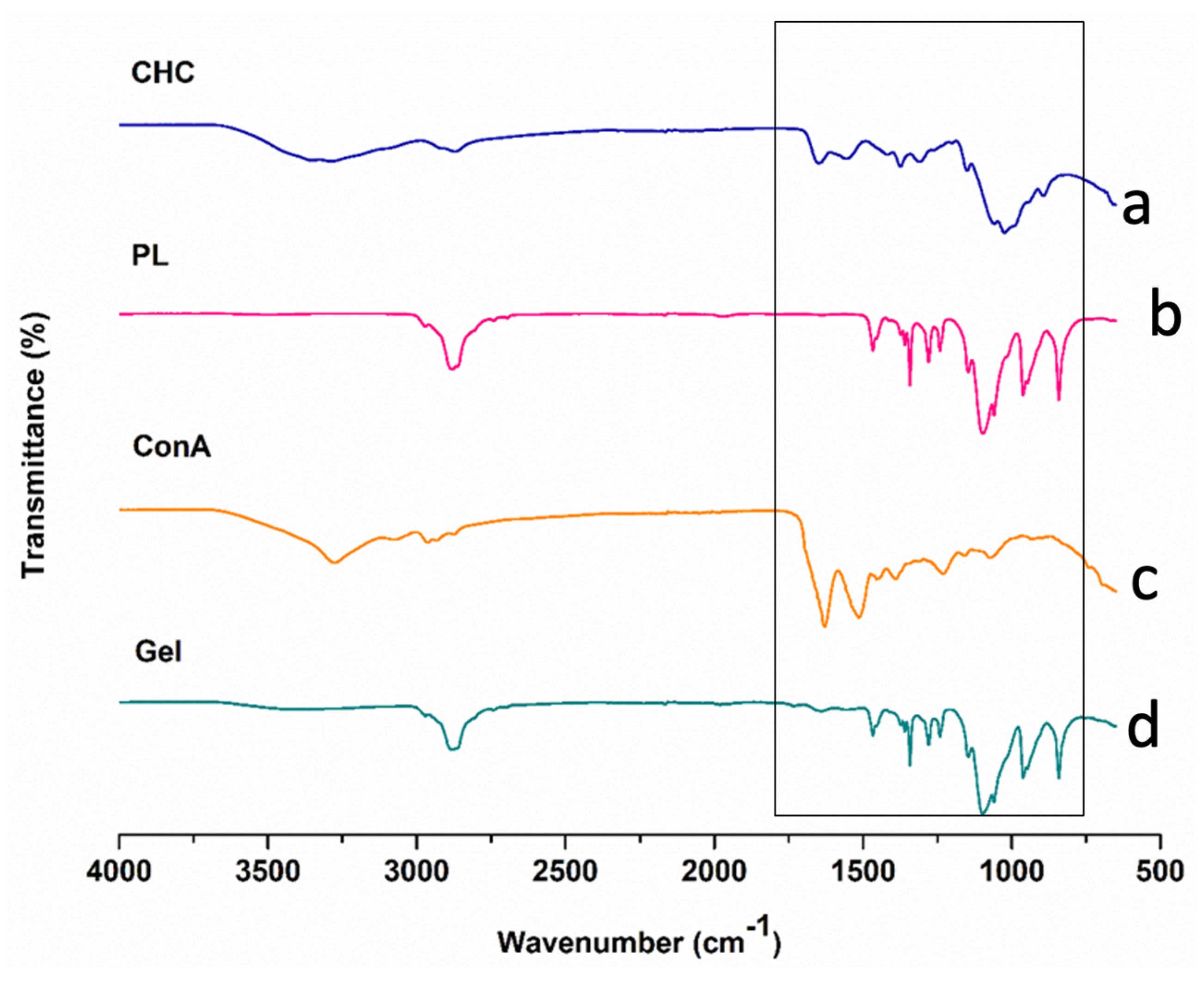 Biomedicines 11 02545 g003