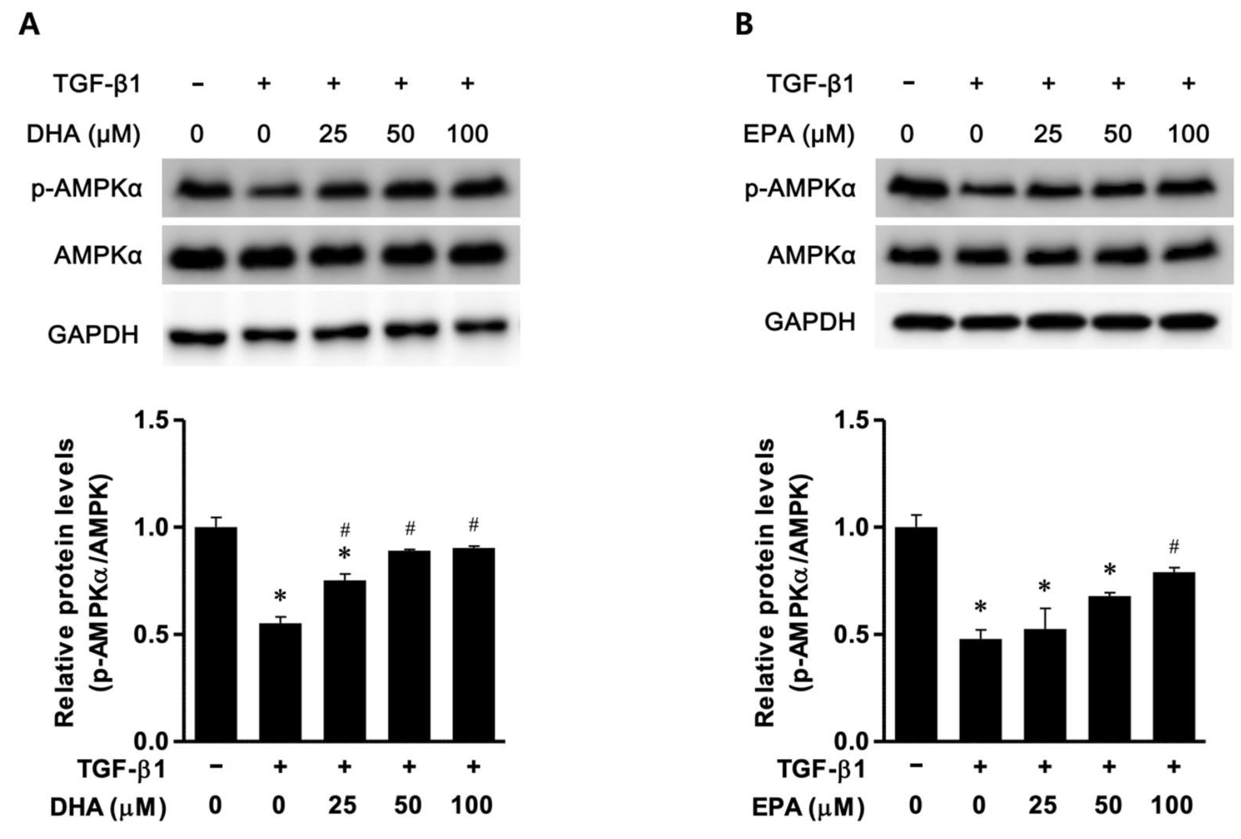 Biomedicines 11 02553 g002a