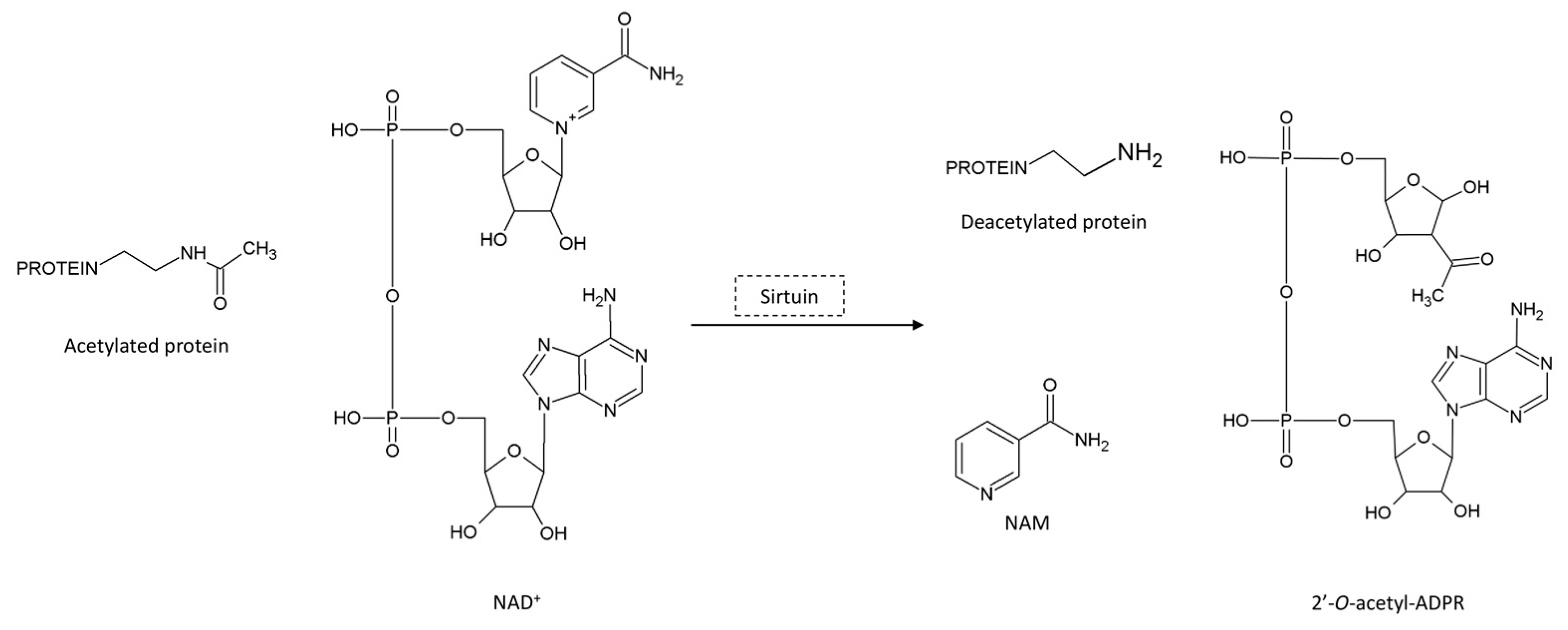Biomedicines 11 02560 g002 Biomedicines 11 02560 g002