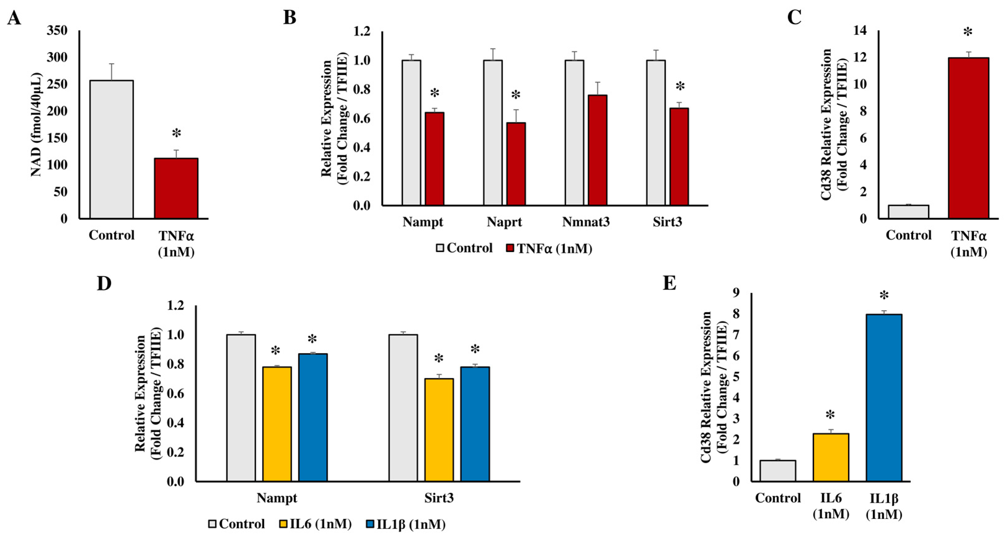 Biomedicines 11 02560 g004 Biomedicines 11 02560 g004