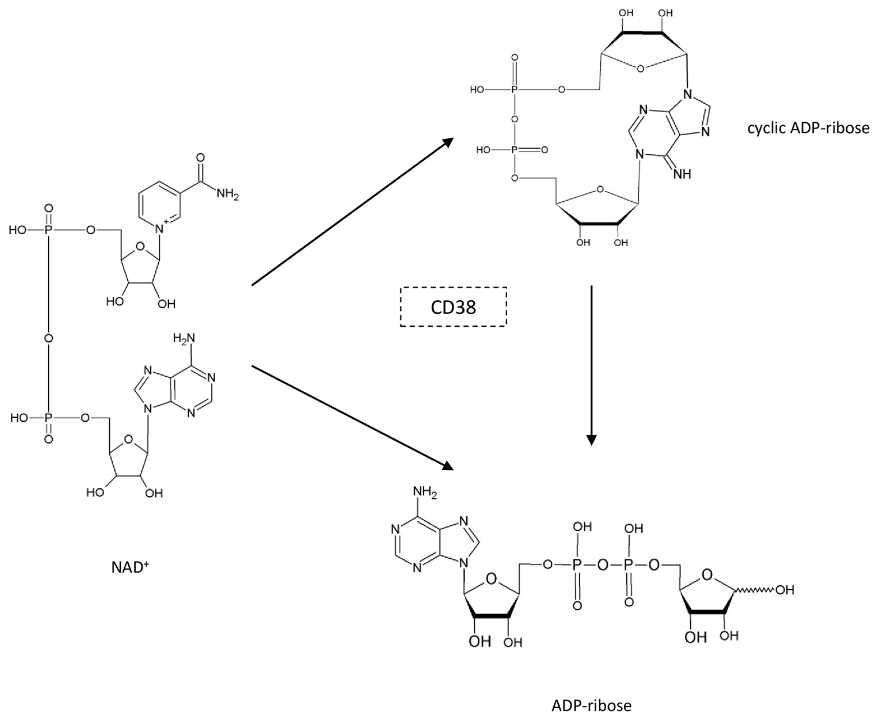 Biomedicines 11 02560 g005 Biomedicines 11 02560 g005
