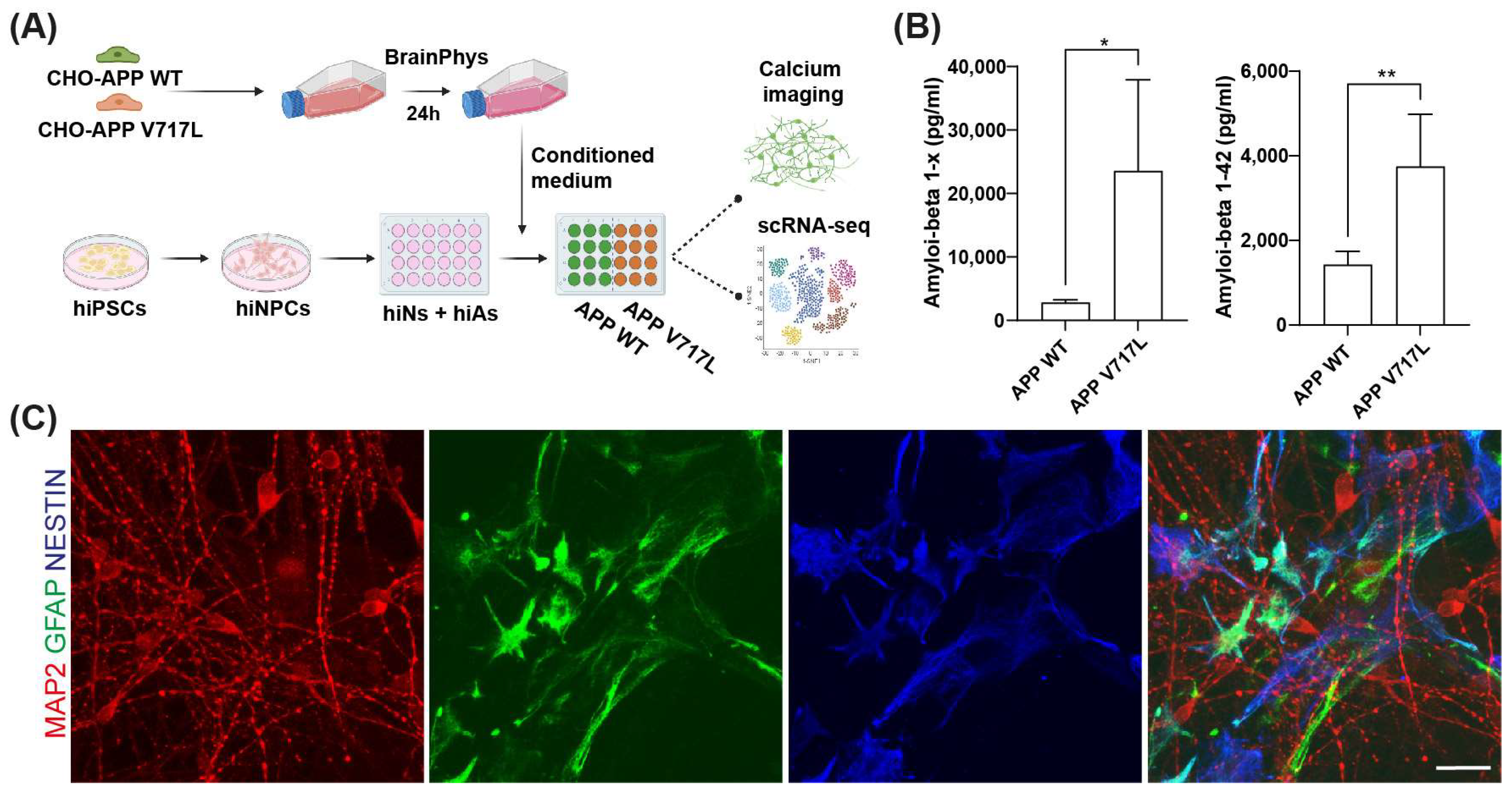 Biomedicines 11 02564 g001