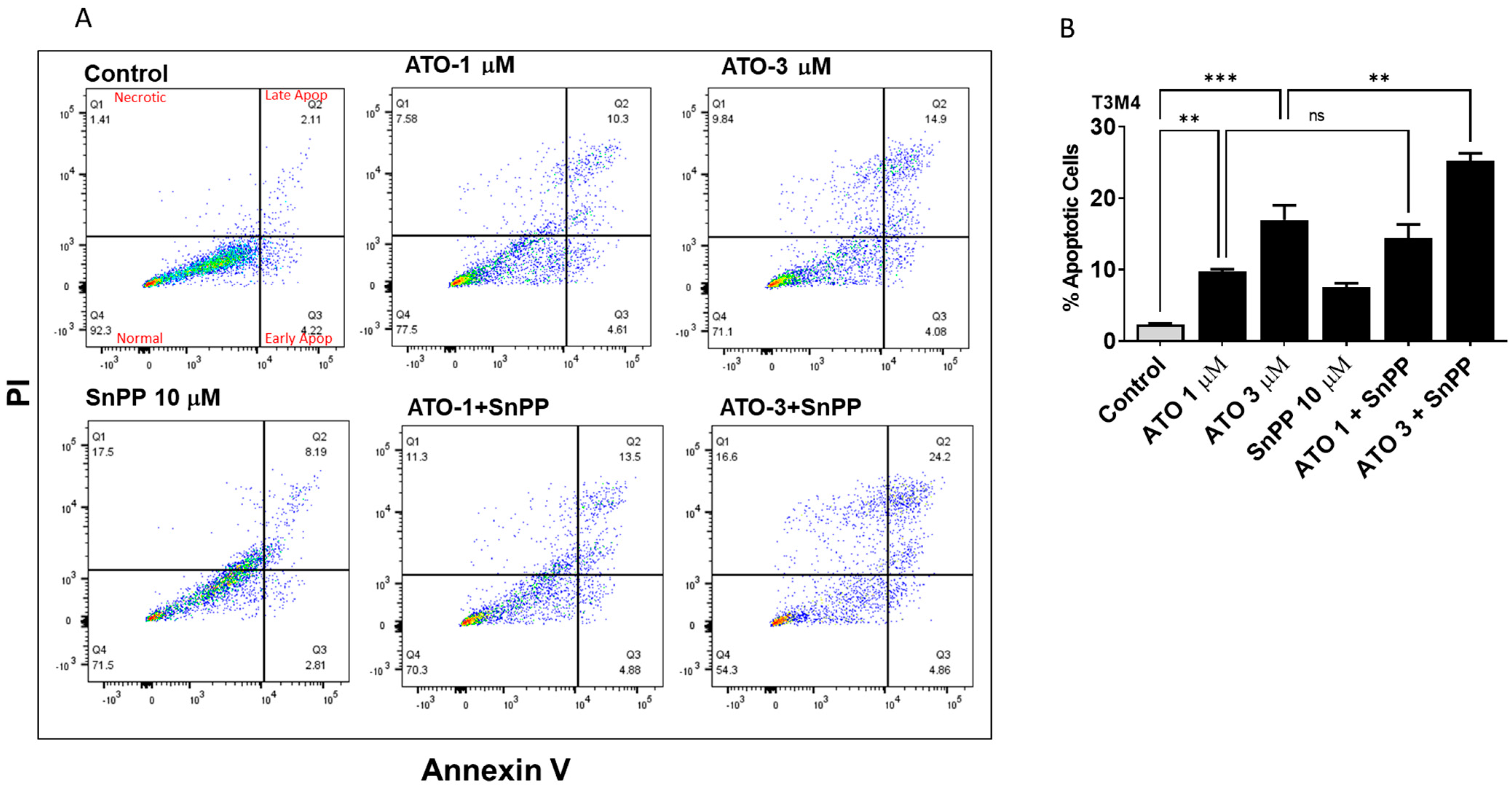 Biomedicines 11 02580 g003a