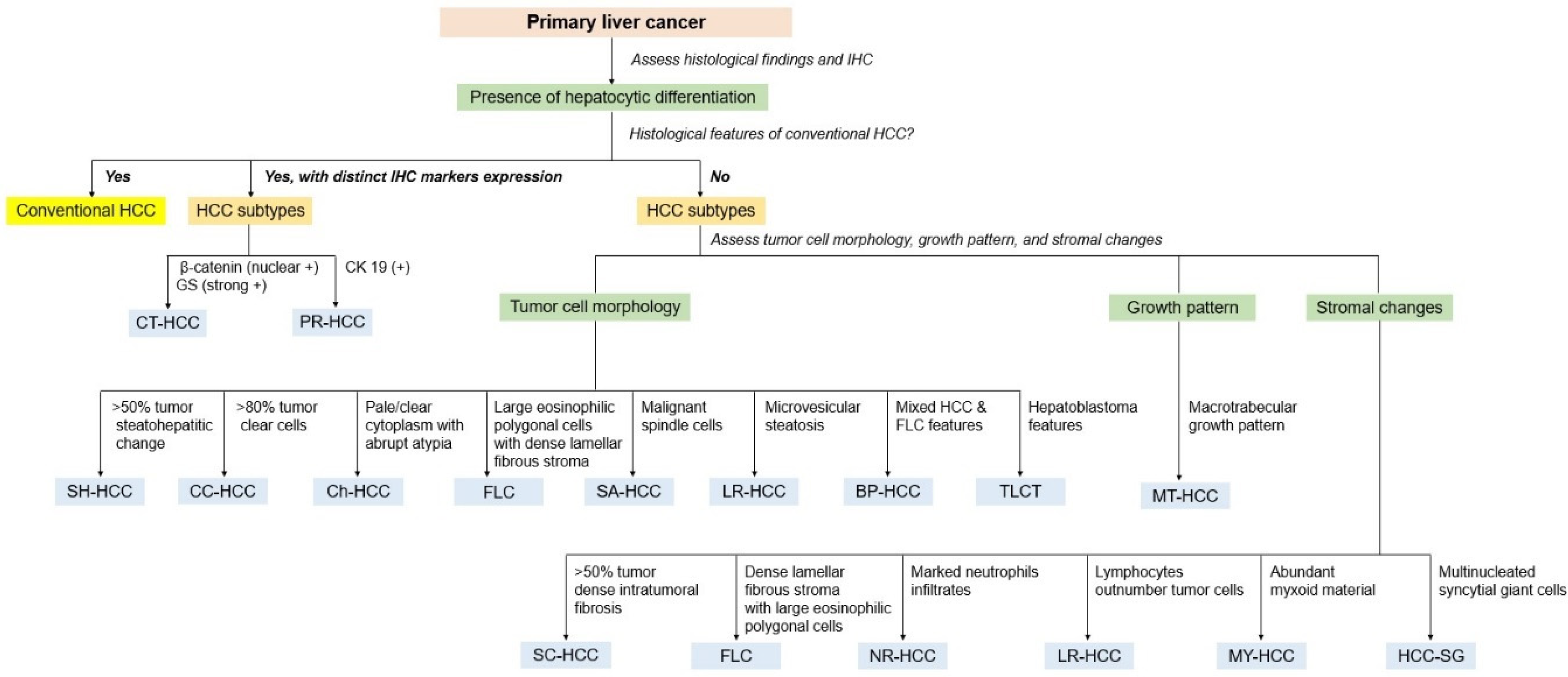 Biomedicines 11 02582 g009 Biomedicines 11 02582 g009