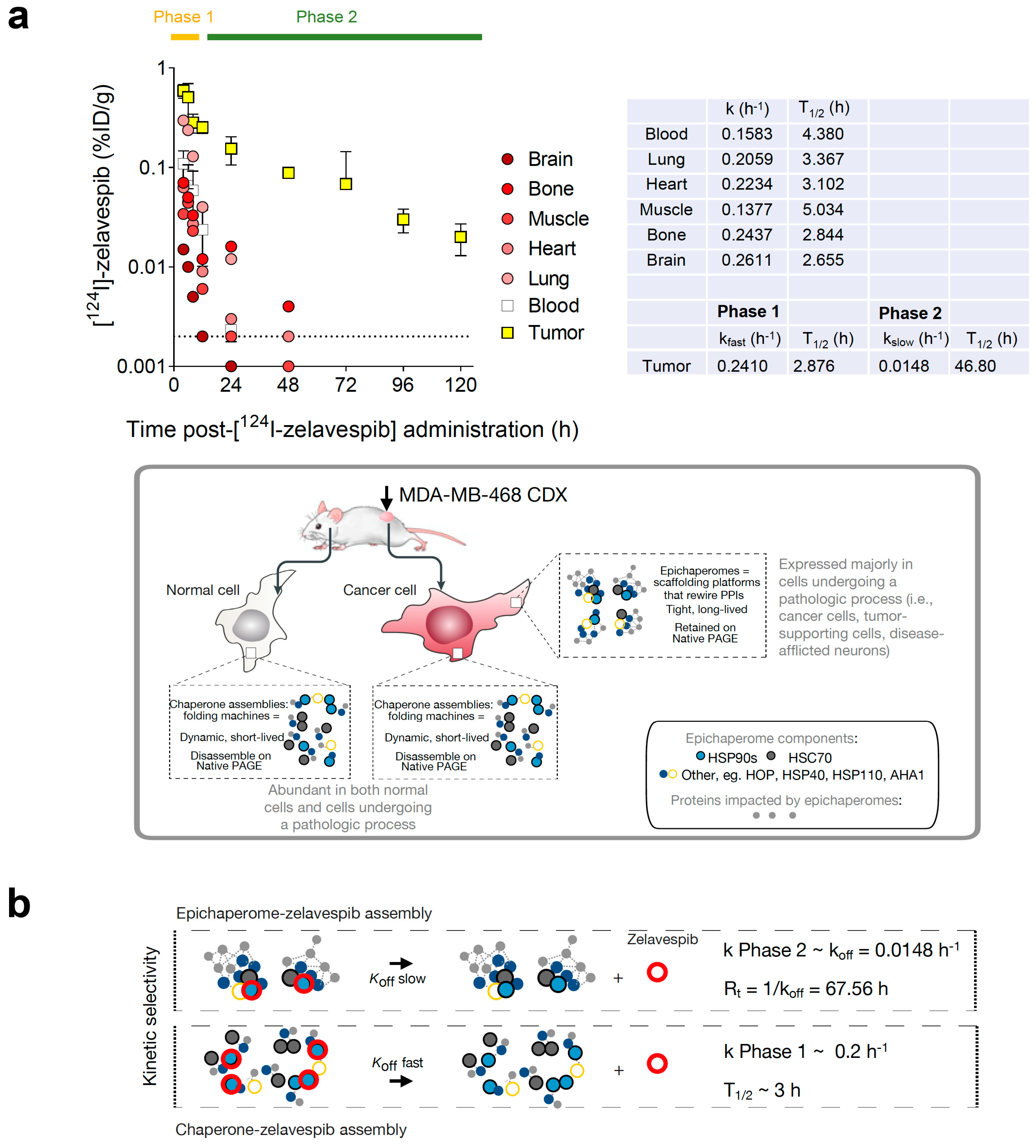 Biomedicines, Free Full-Text