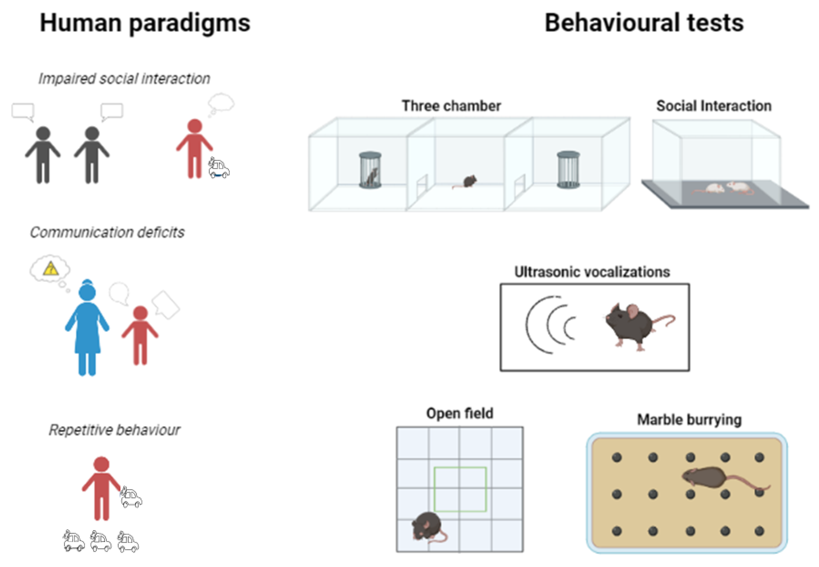 Biomedicines 11 02603 g002 Biomedicines 11 02603 g002