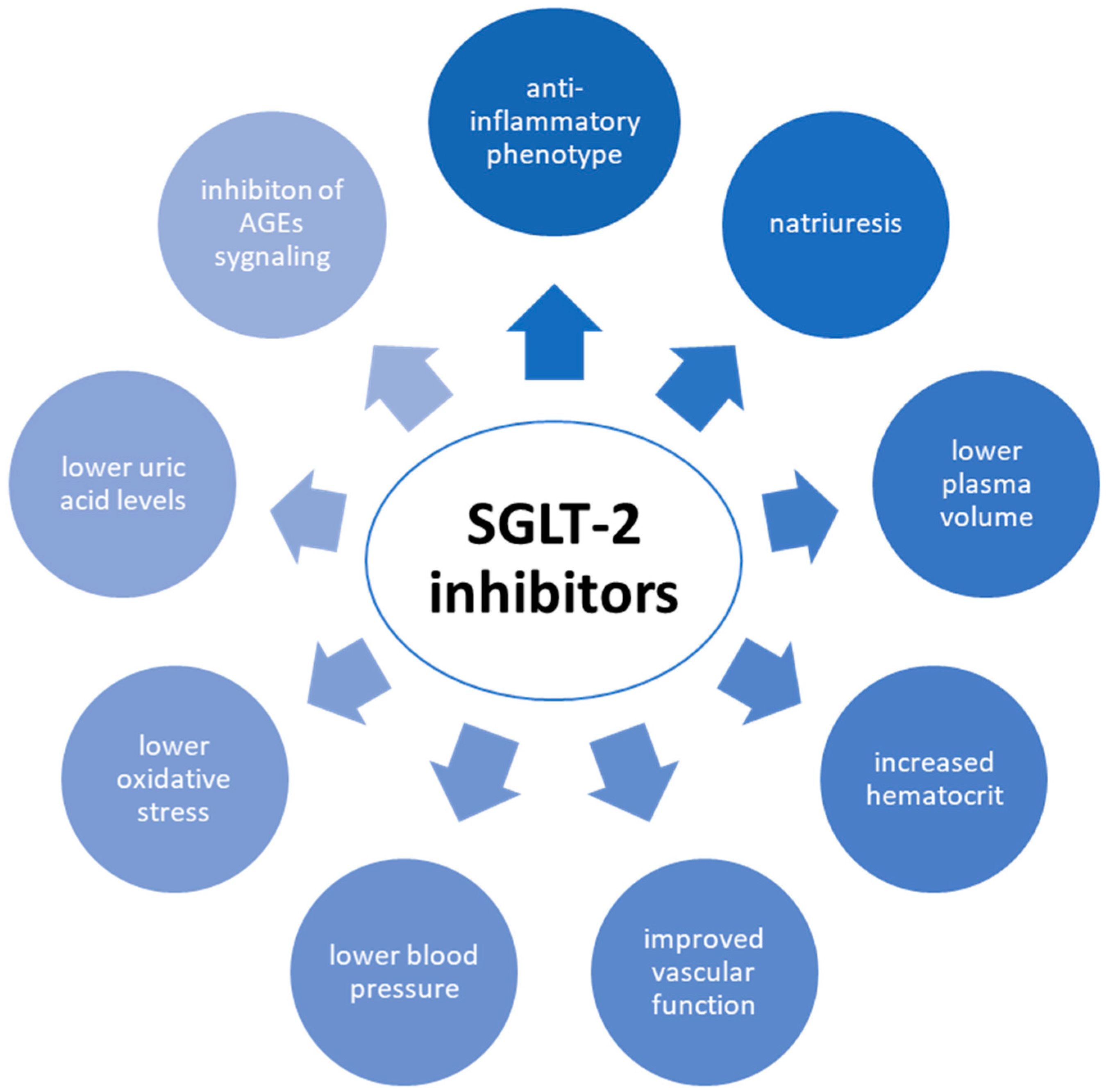 Biomedicines 11 02611 g003