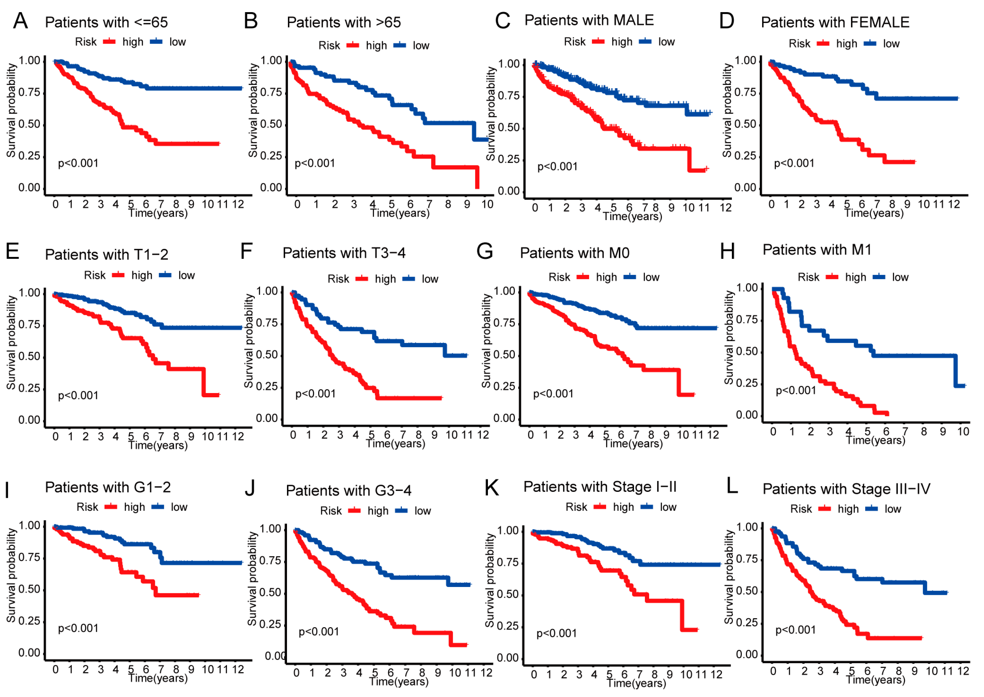 Biomedicines 11 02635 g005