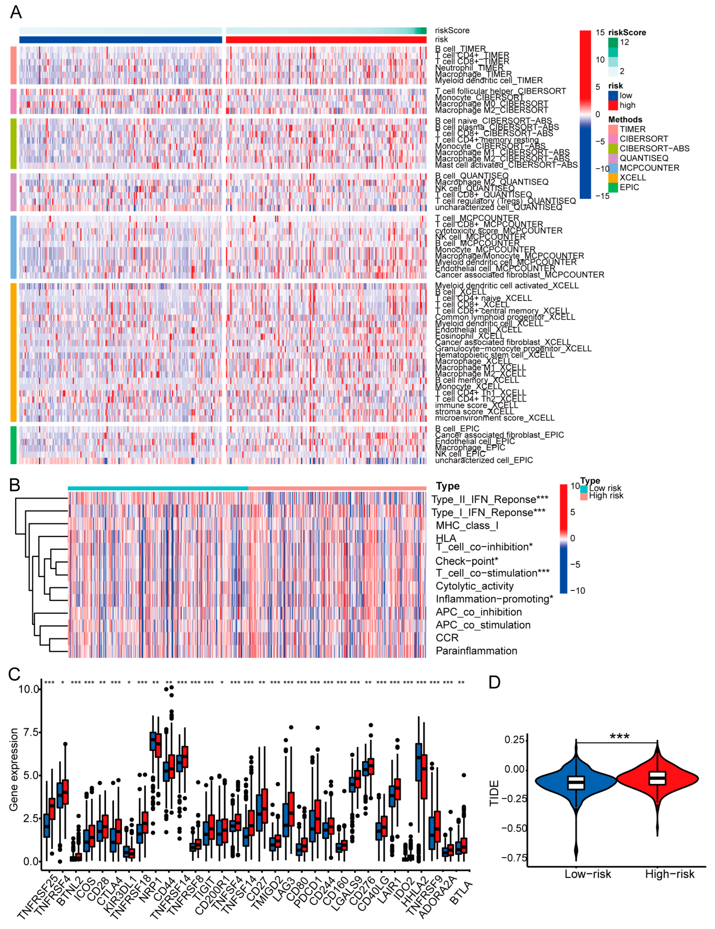 Biomedicines 11 02635 g010