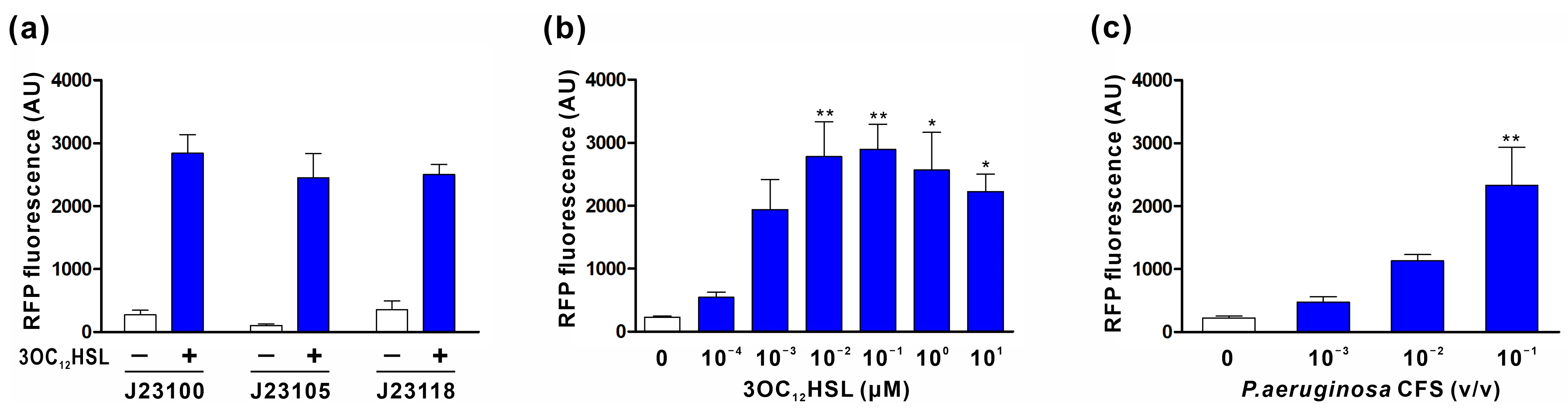 Biomedicines 11 02645 g002