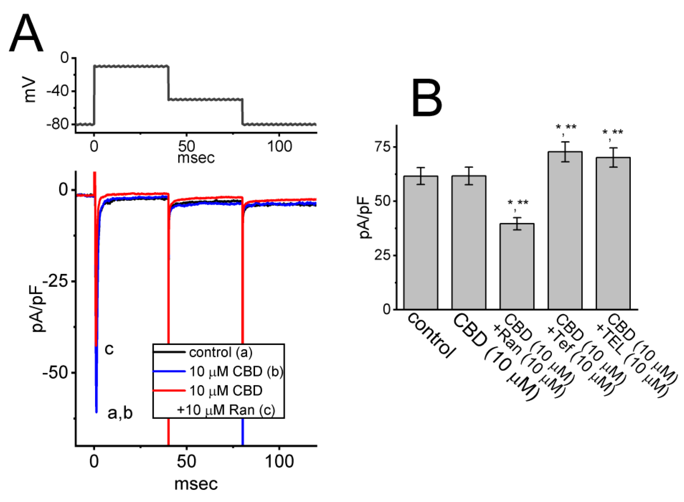 Biomedicines 11 02651 g006