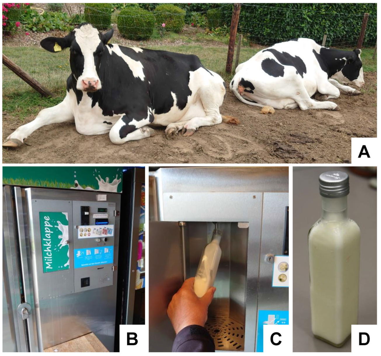 Biomedicines 11 02715 g002