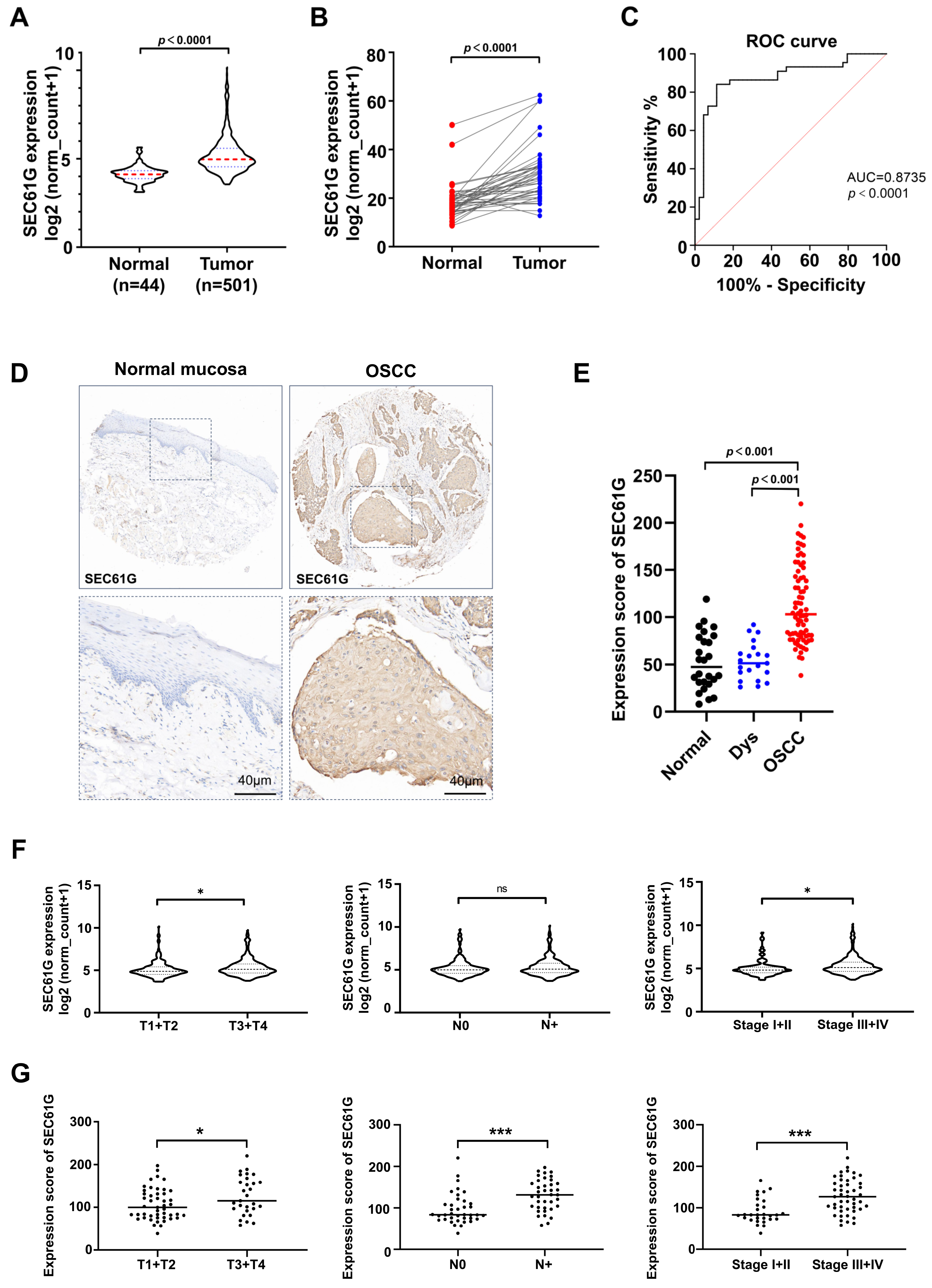 Biomedicines 11 02718 g001