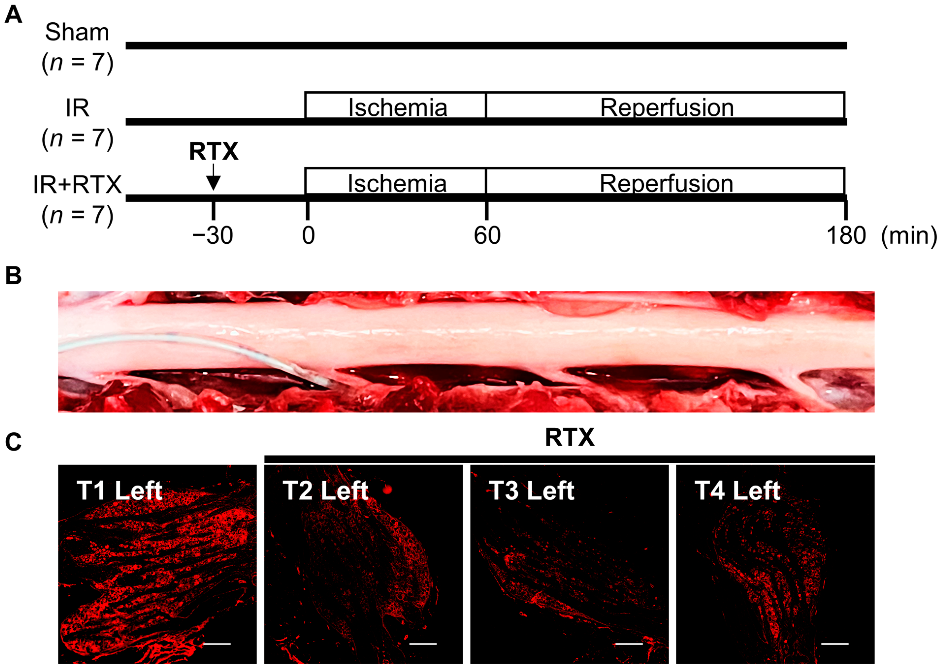 Biomedicines 11 02720 g001 Biomedicines 11 02720 g001