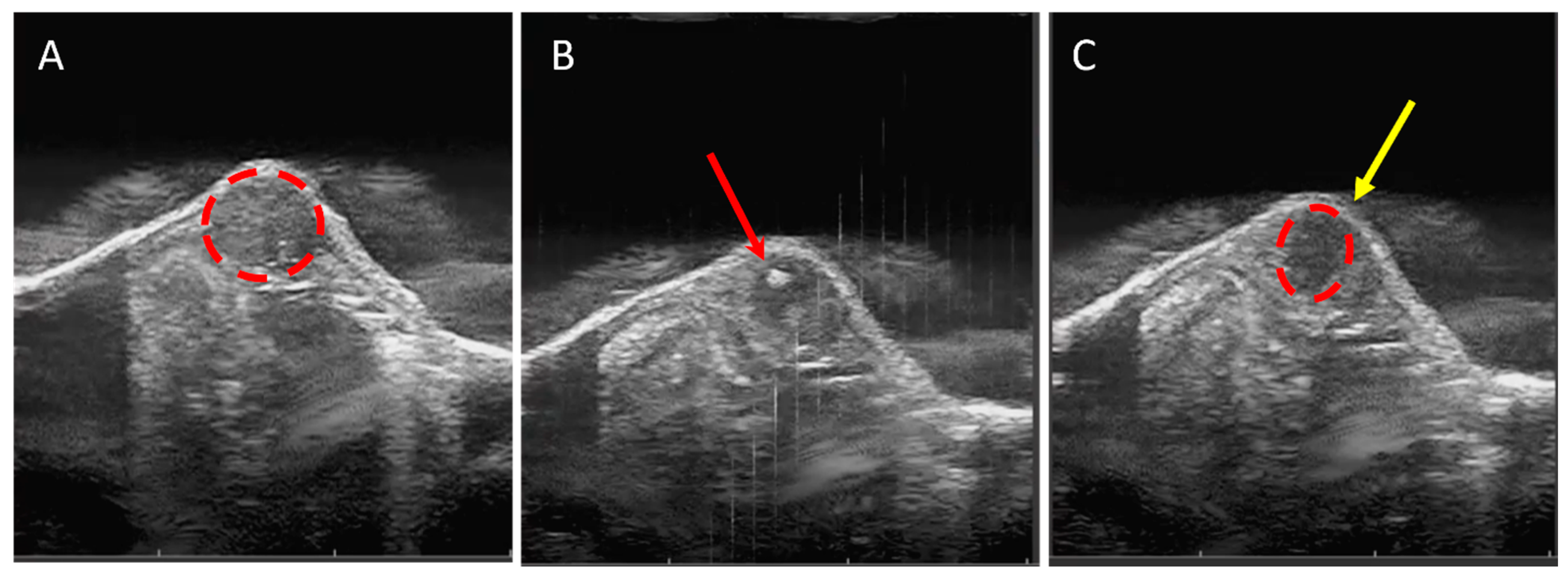 Biomedicines 11 02737 g003