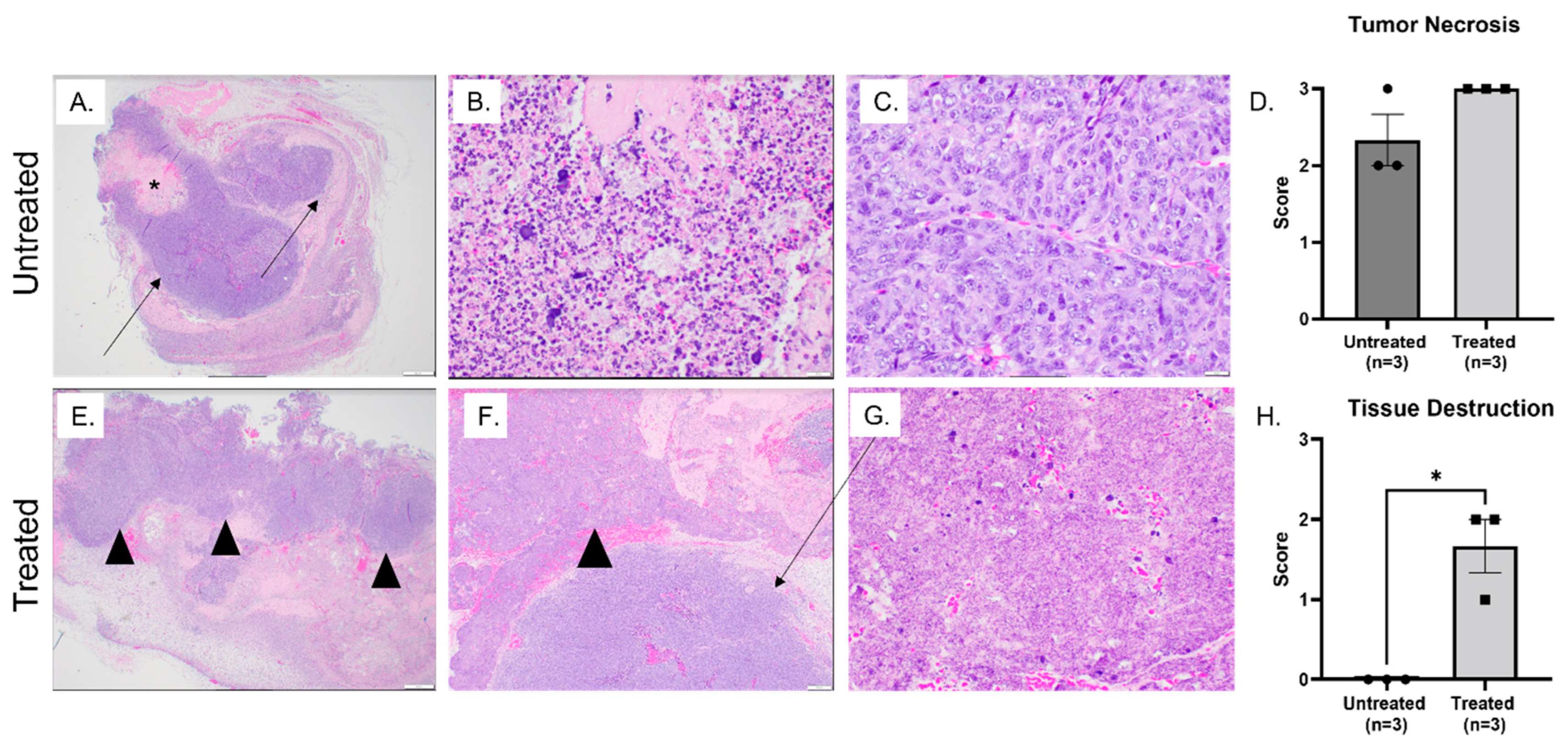 Biomedicines 11 02737 g004