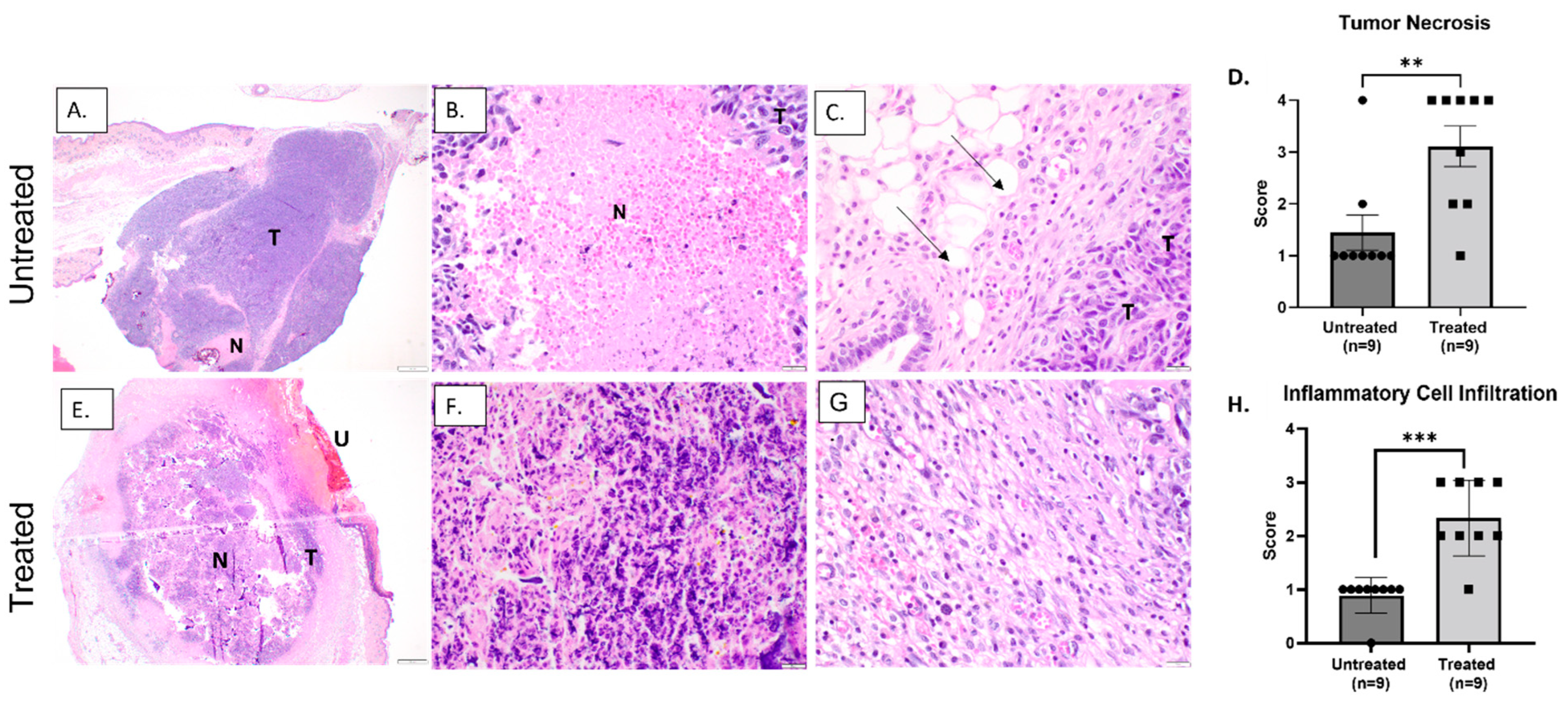 Biomedicines 11 02737 g005
