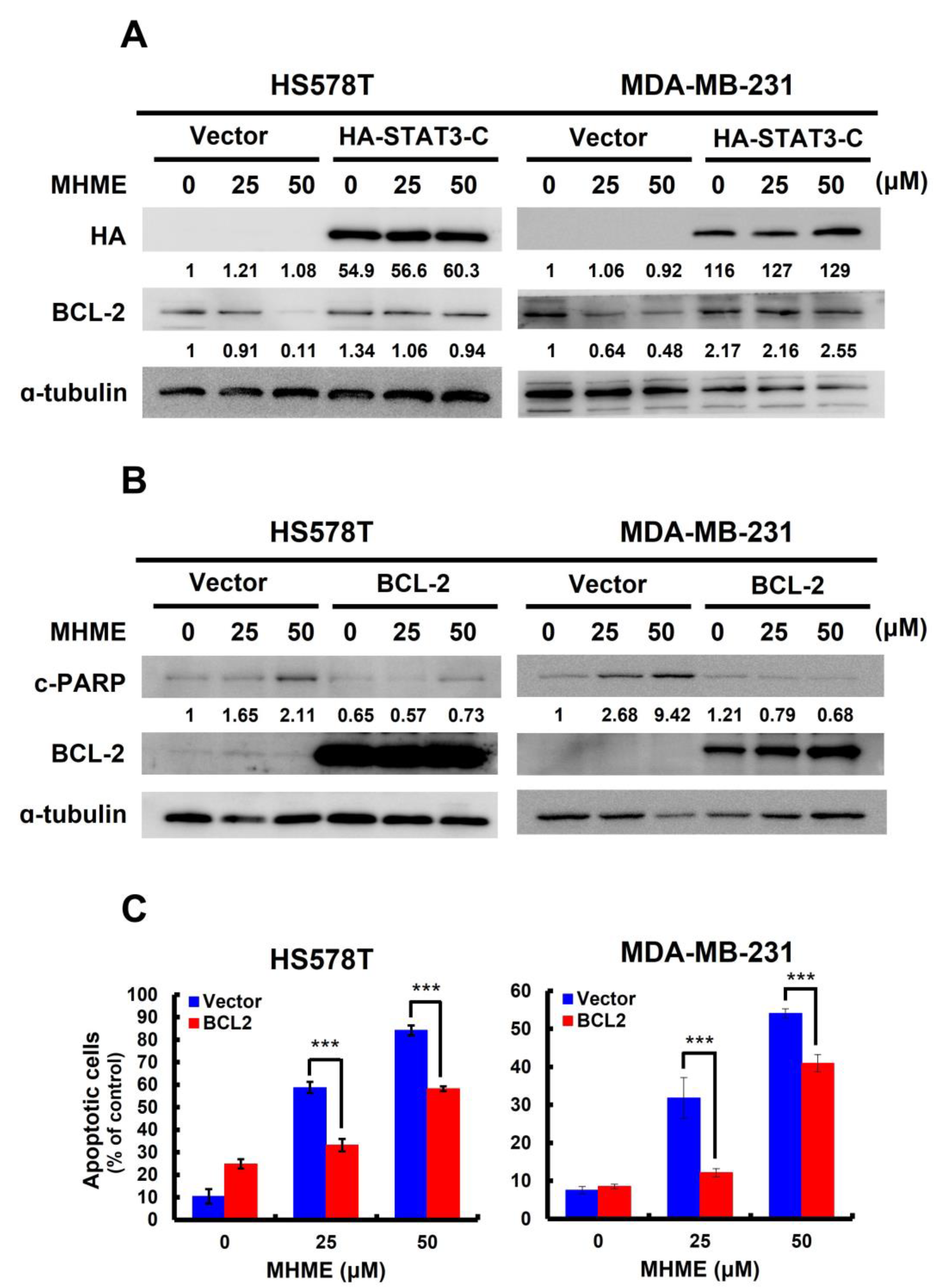 Biomedicines 11 02742 g004 Biomedicines 11 02742 g004