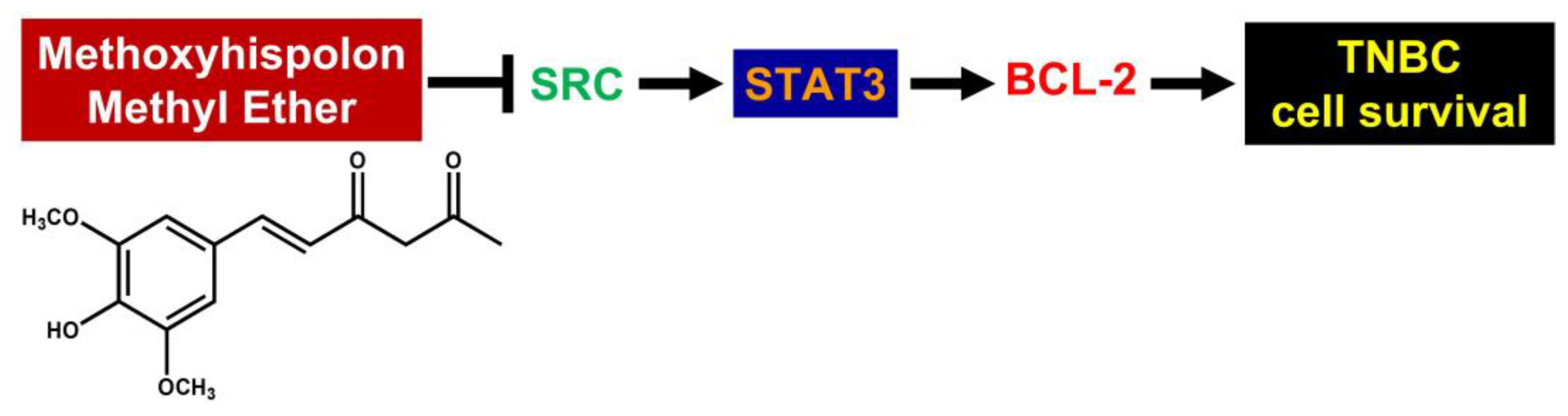 Biomedicines 11 02742 g006 Biomedicines 11 02742 g006