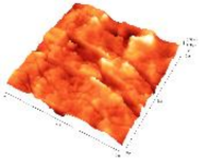 Biomedicines 11 02772 i002