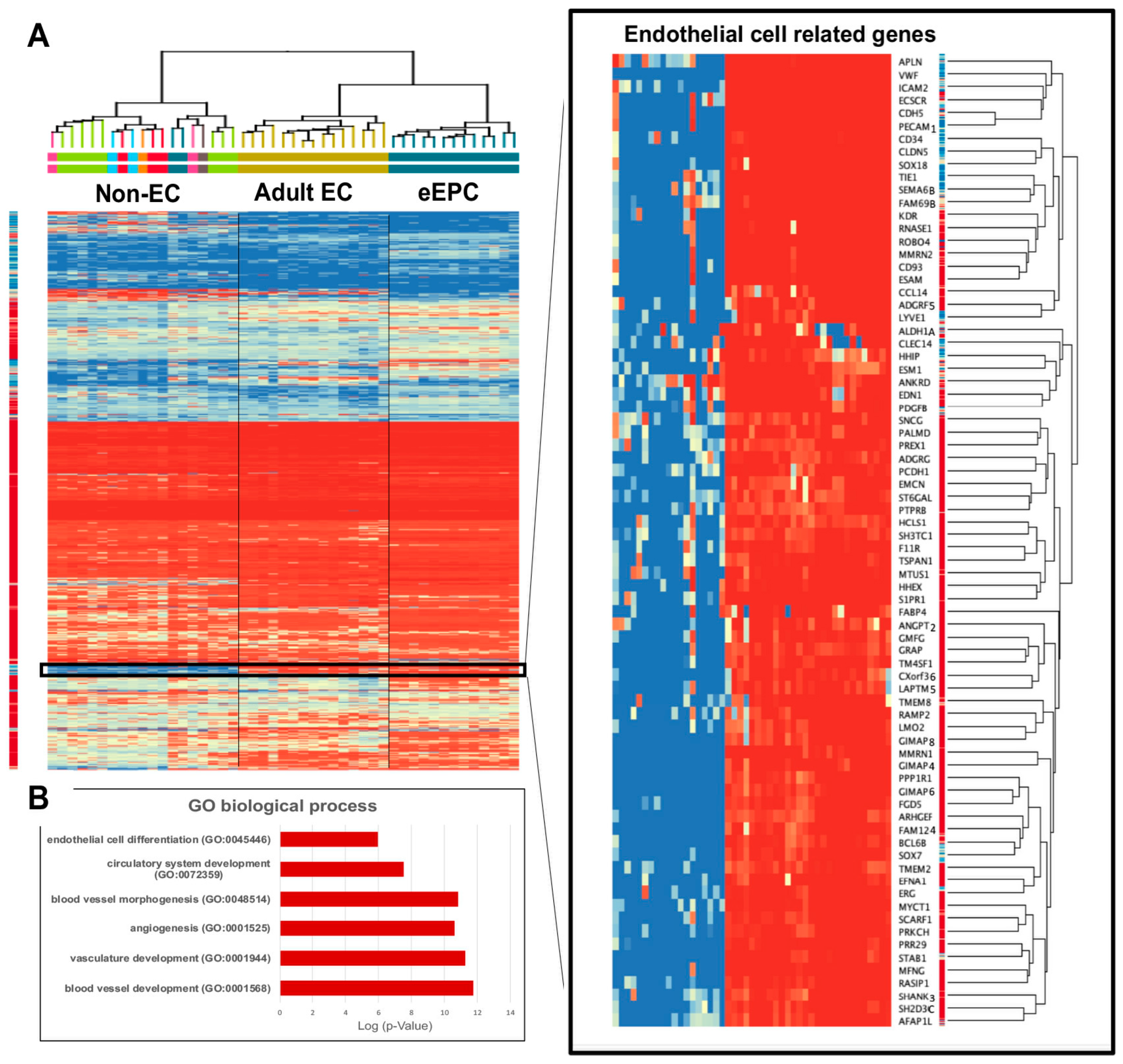 Biomedicines 11 02777 g003 Biomedicines 11 02777 g003