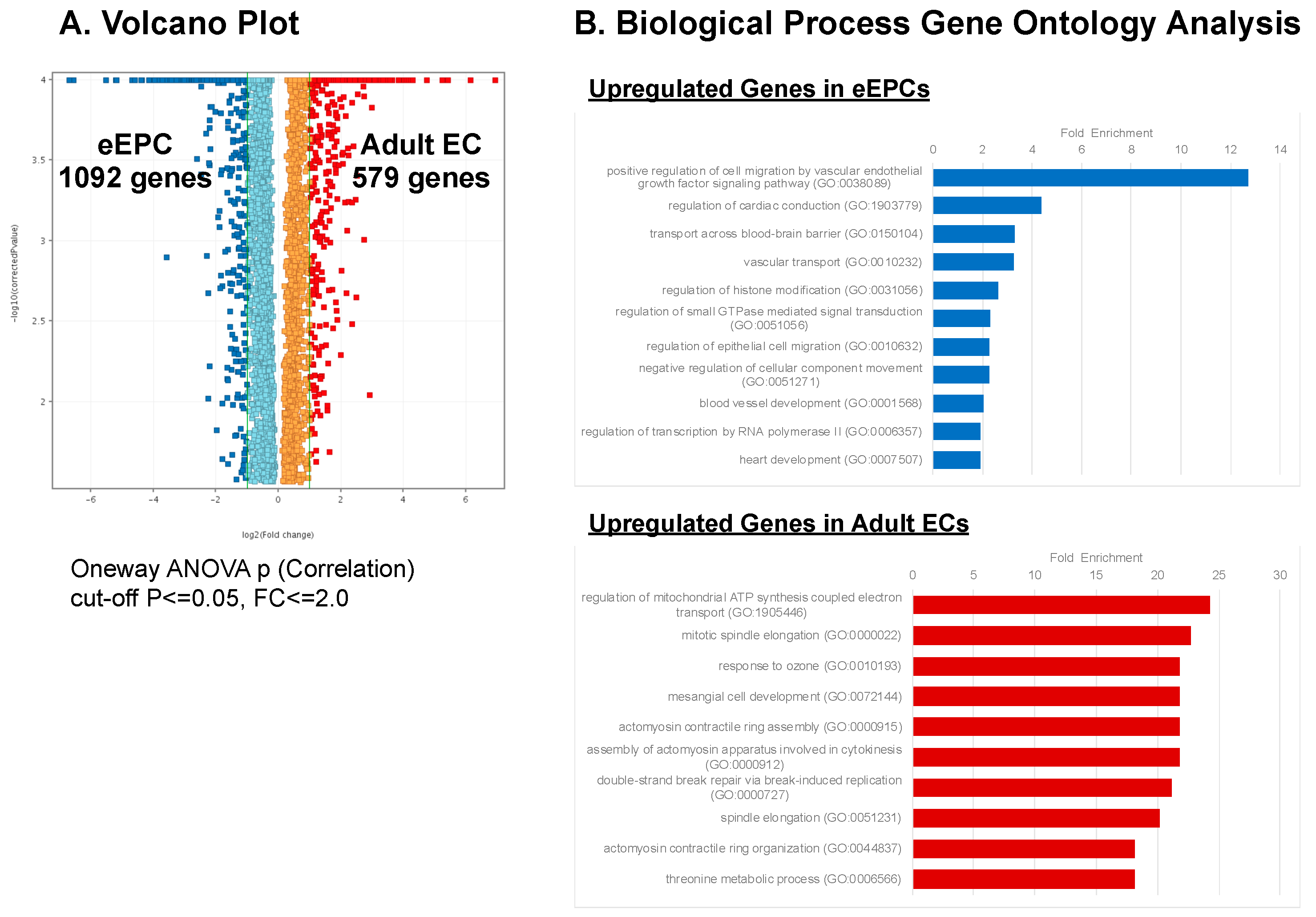 Biomedicines 11 02777 g006 Biomedicines 11 02777 g006