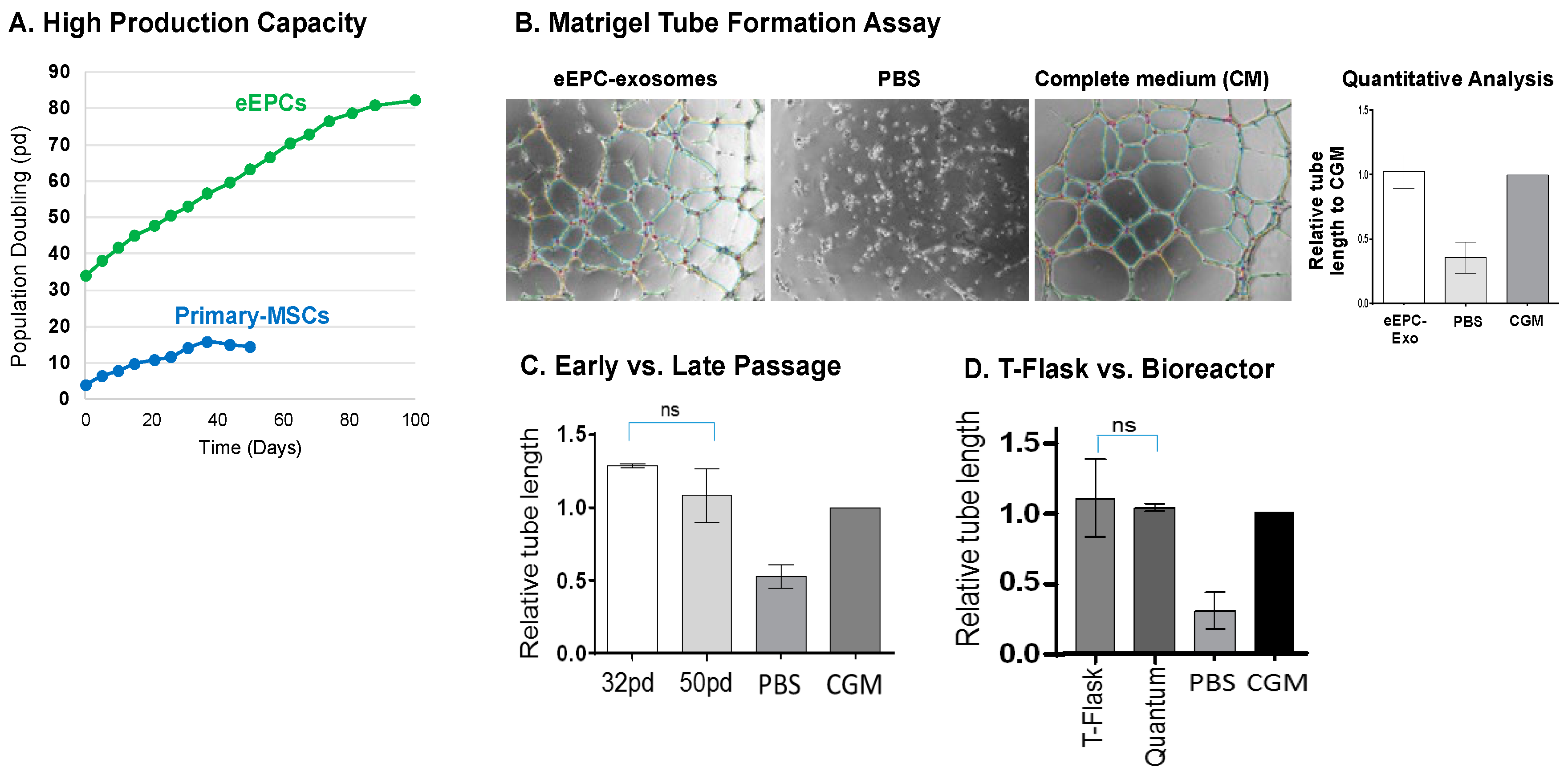 Biomedicines 11 02777 g008 Biomedicines 11 02777 g008