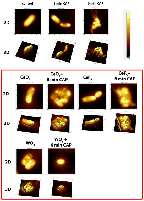 Biomedicines Free Full Text Synergistic Antimicrobial Effect