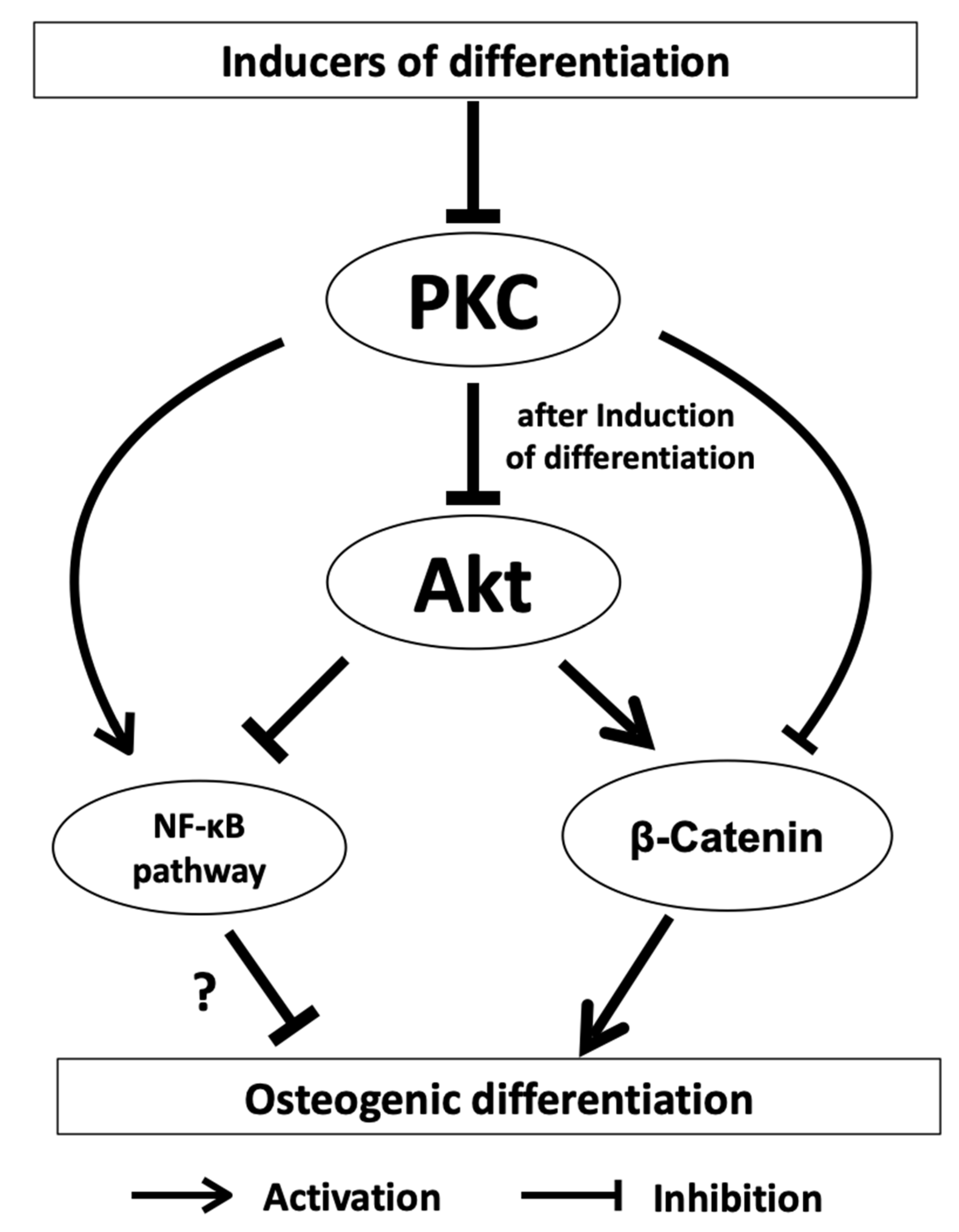 Biomedicines, Free Full-Text