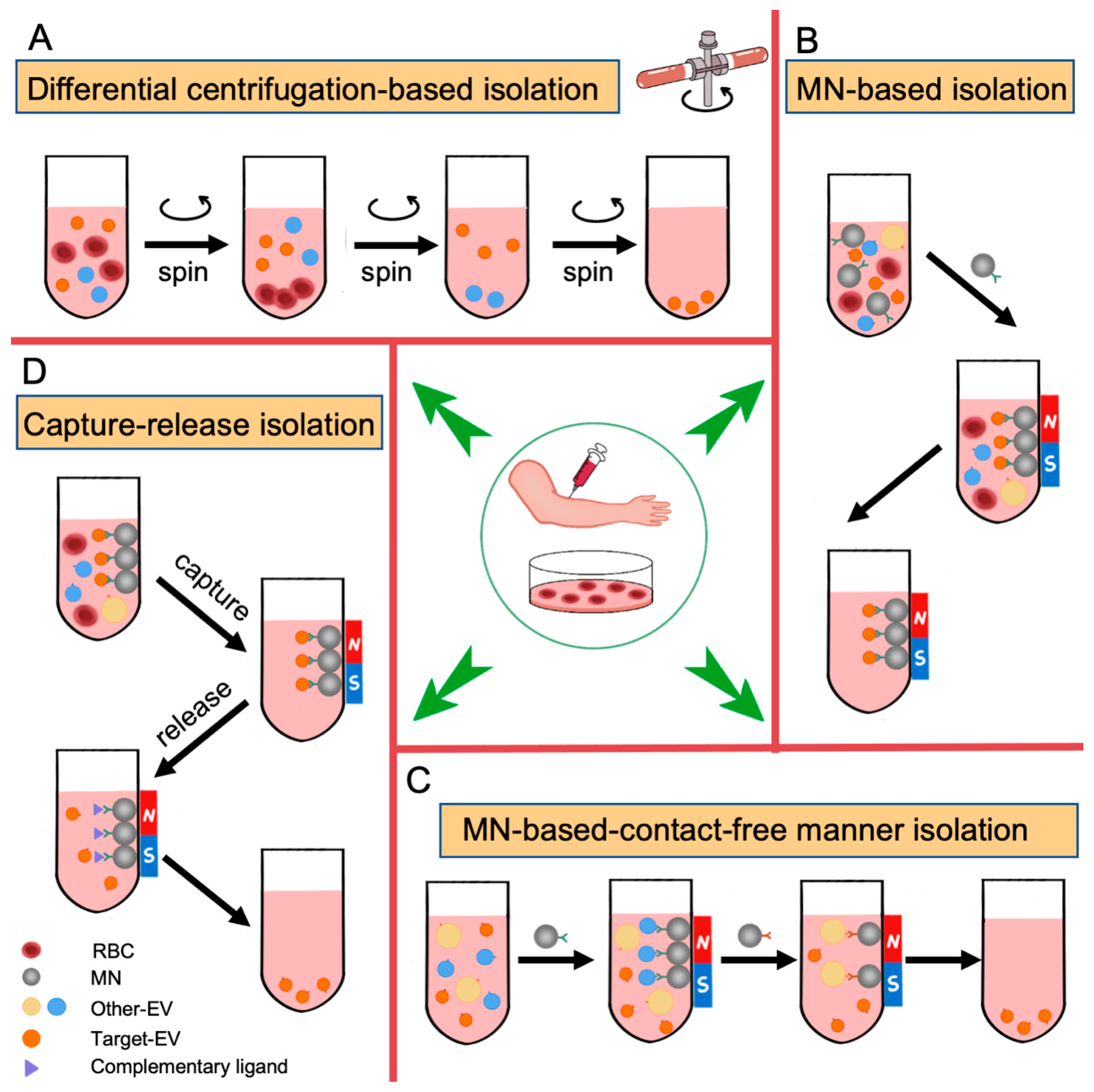 Biomedicines 11 02798 g003 Biomedicines 11 02798 g003