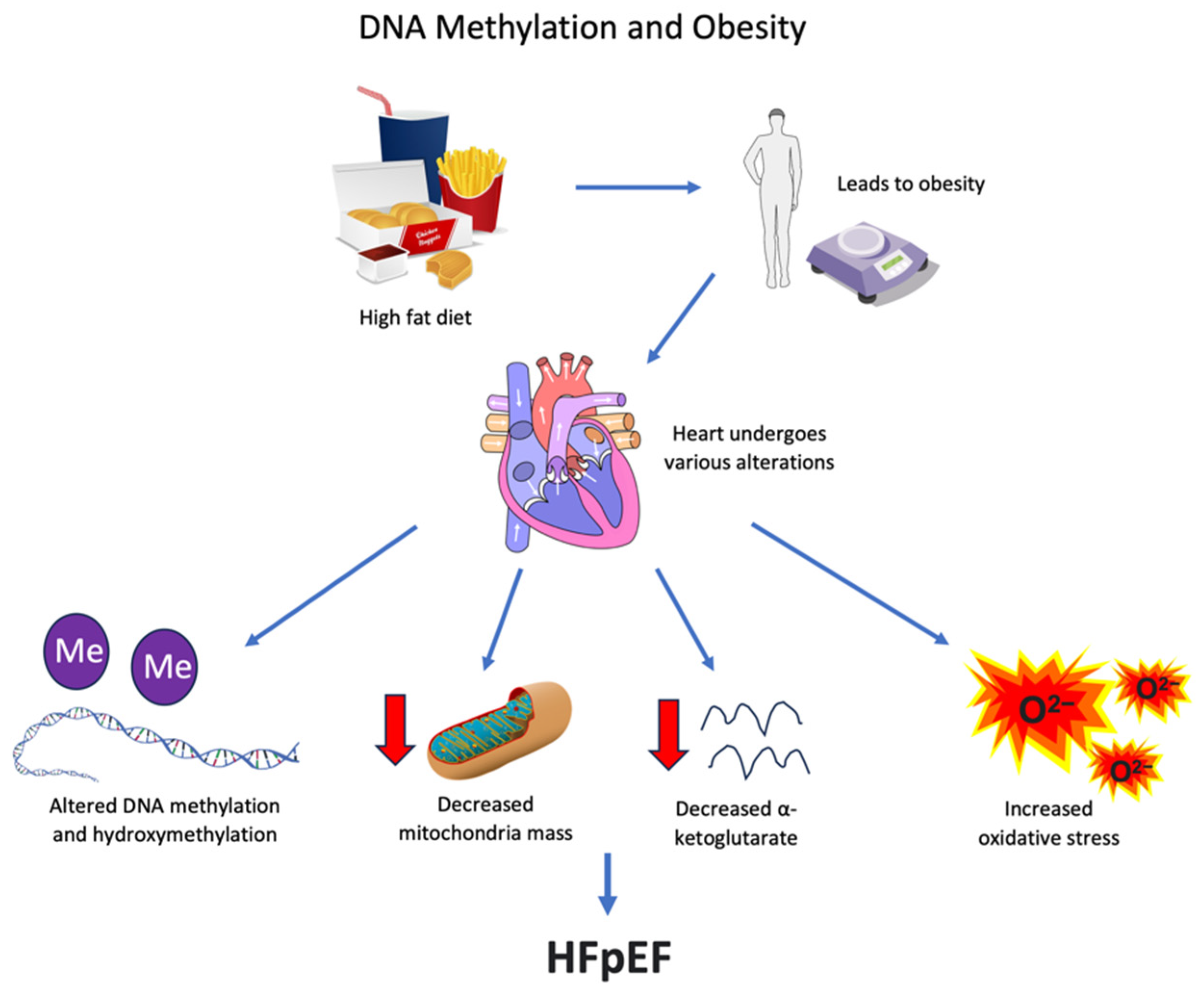 Biomedicines 11 02815 g005
