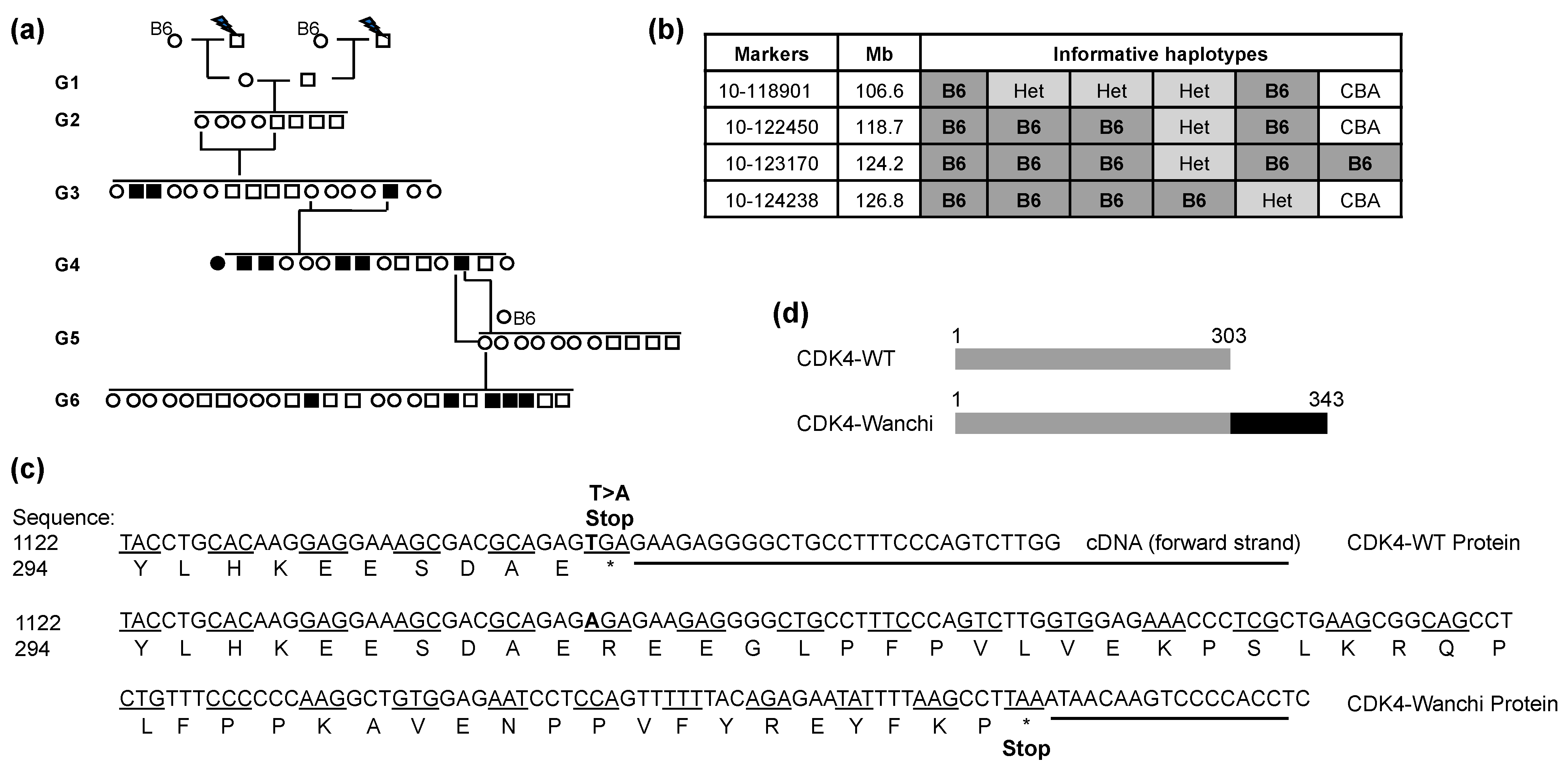 Biomedicines 11 02847 g001