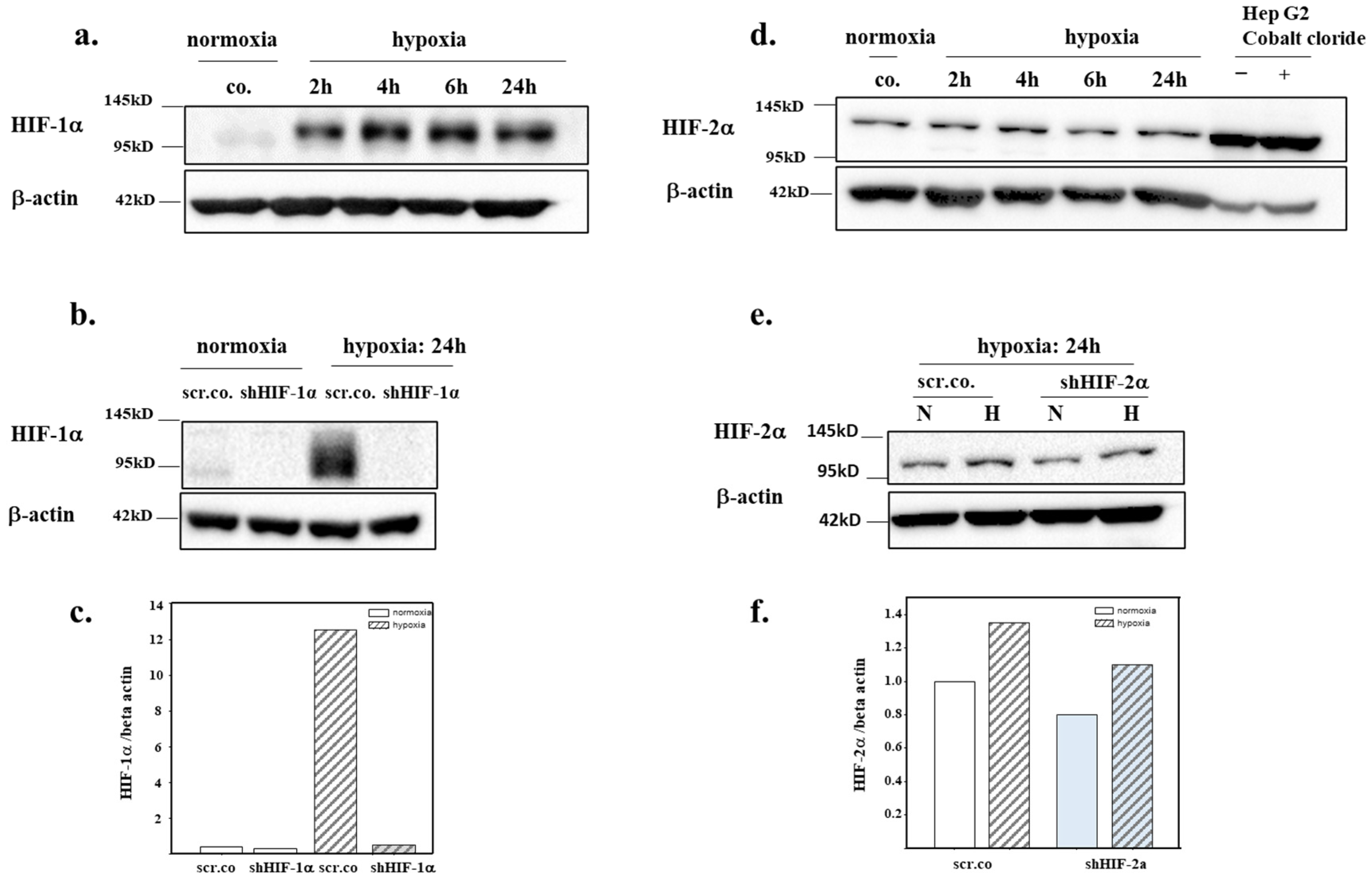 Biomedicines 11 02879 g002