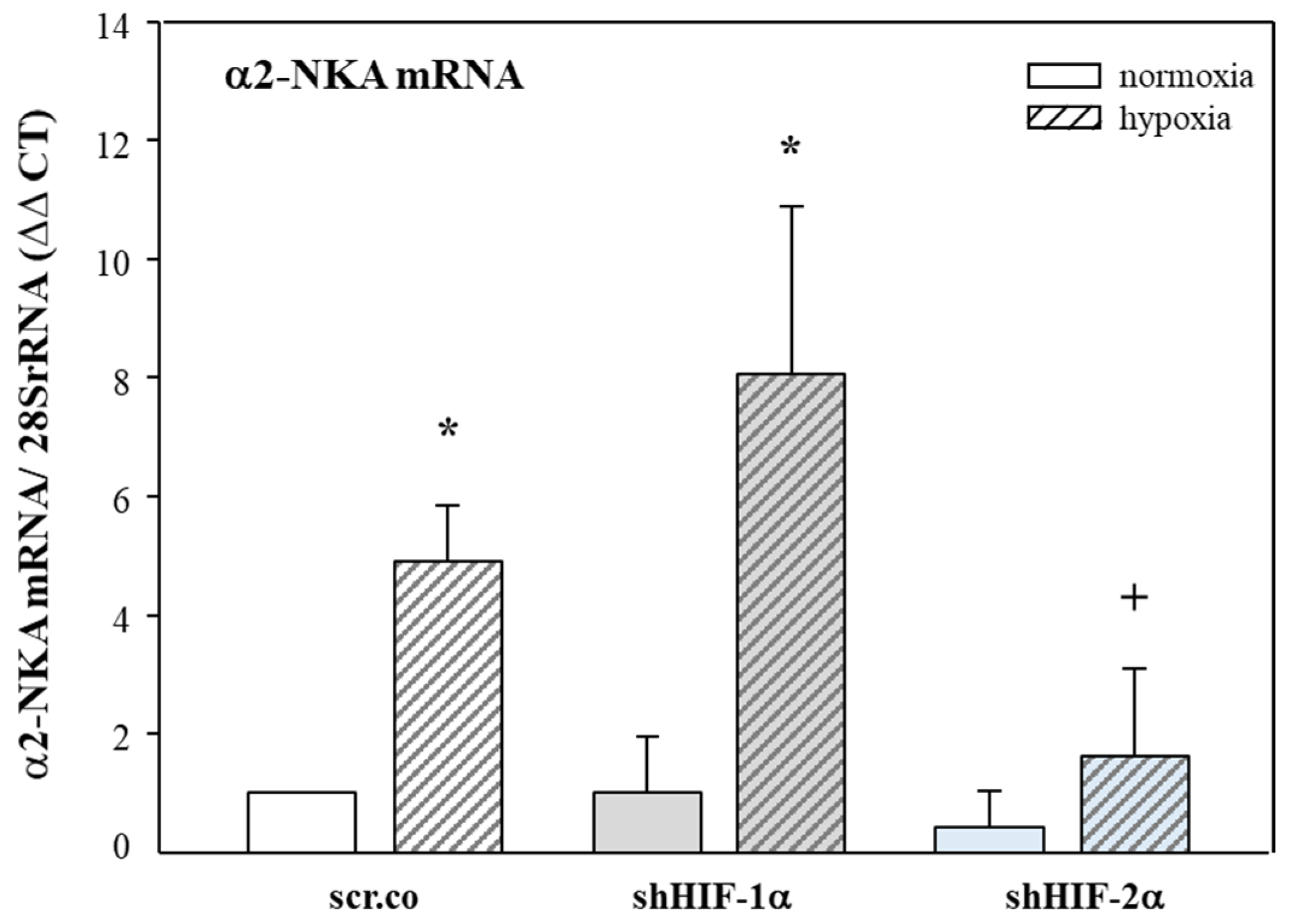 Biomedicines 11 02879 g003