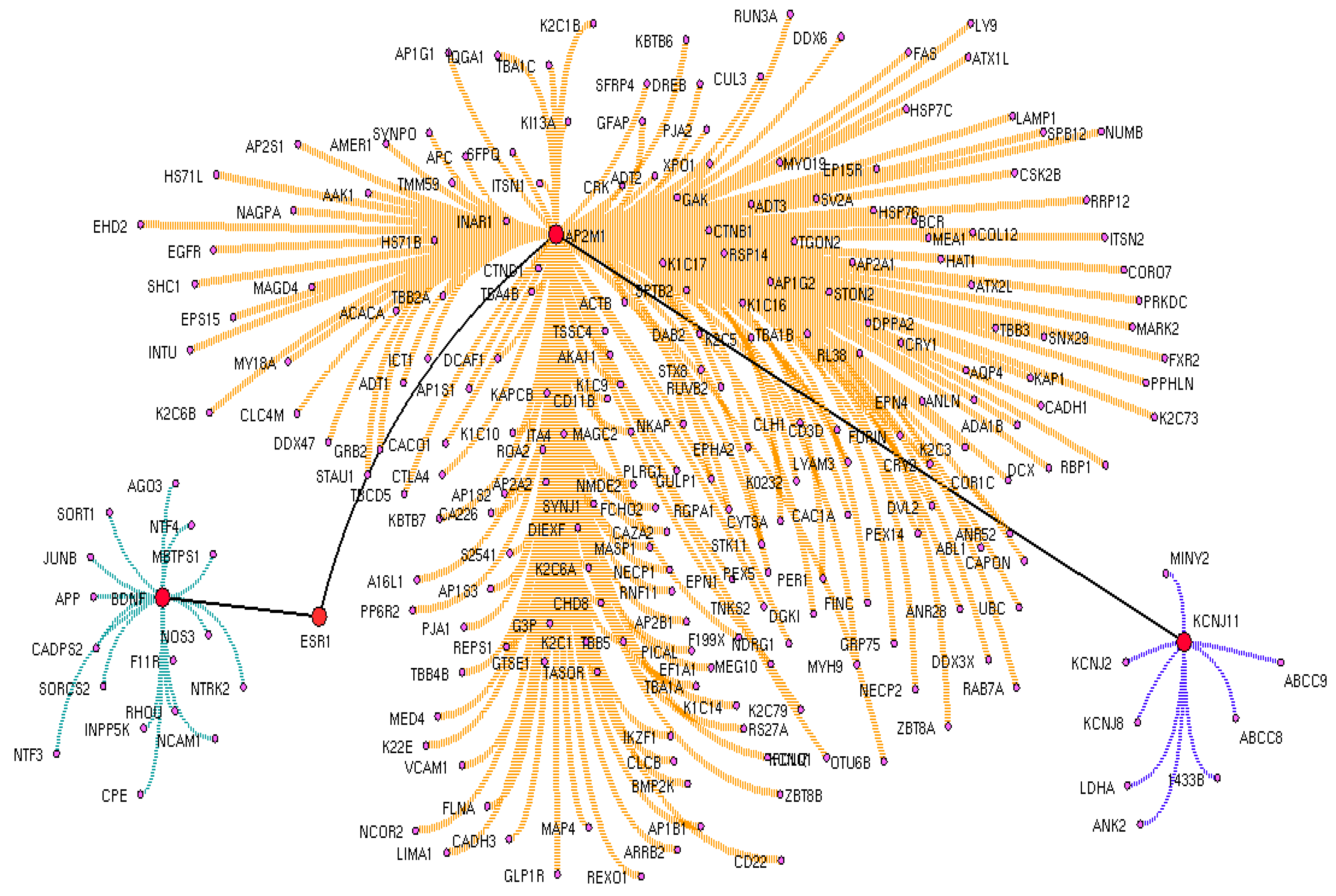 Biomedicines 11 02939 g004