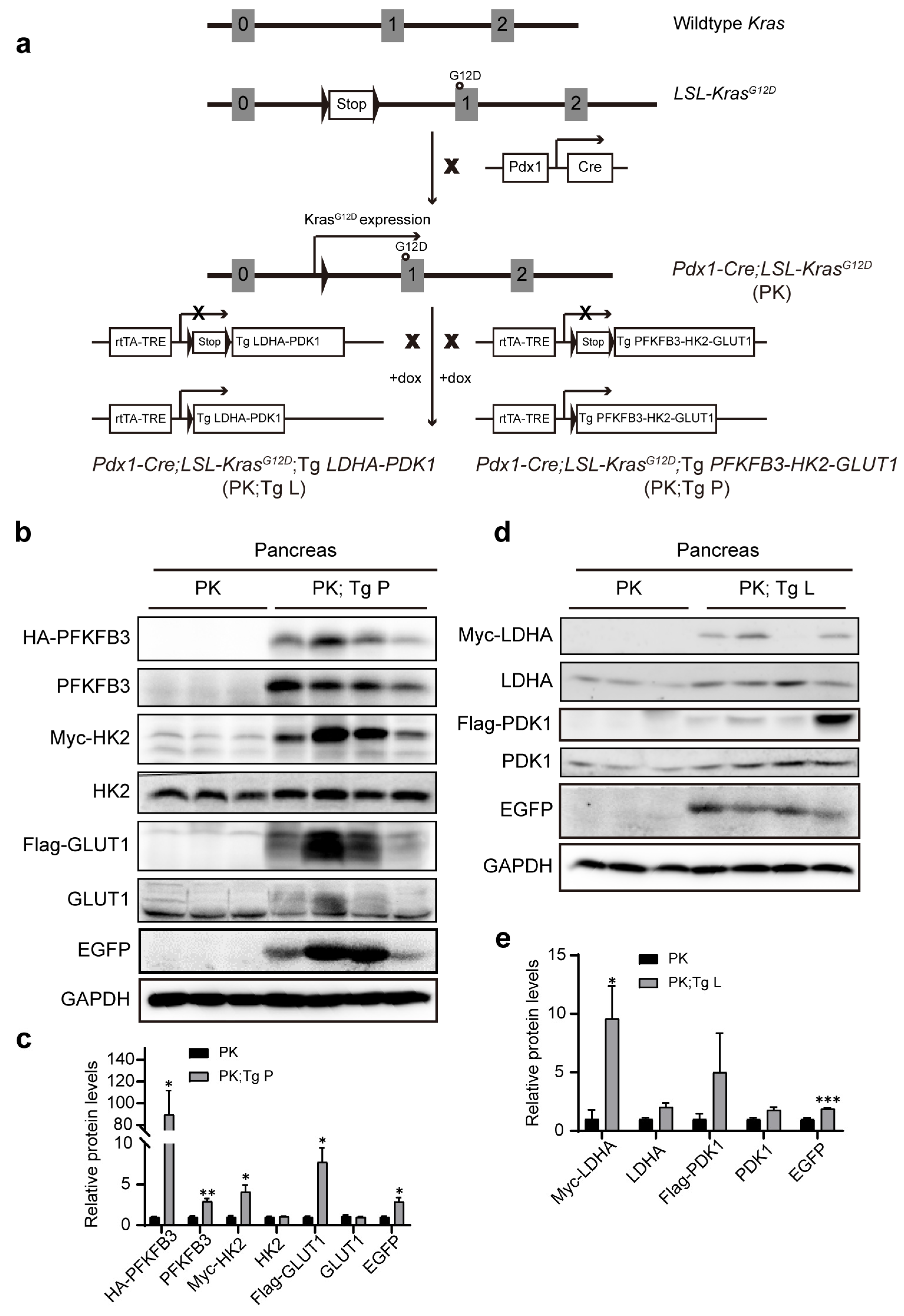 Biomedicines 11 02962 g002