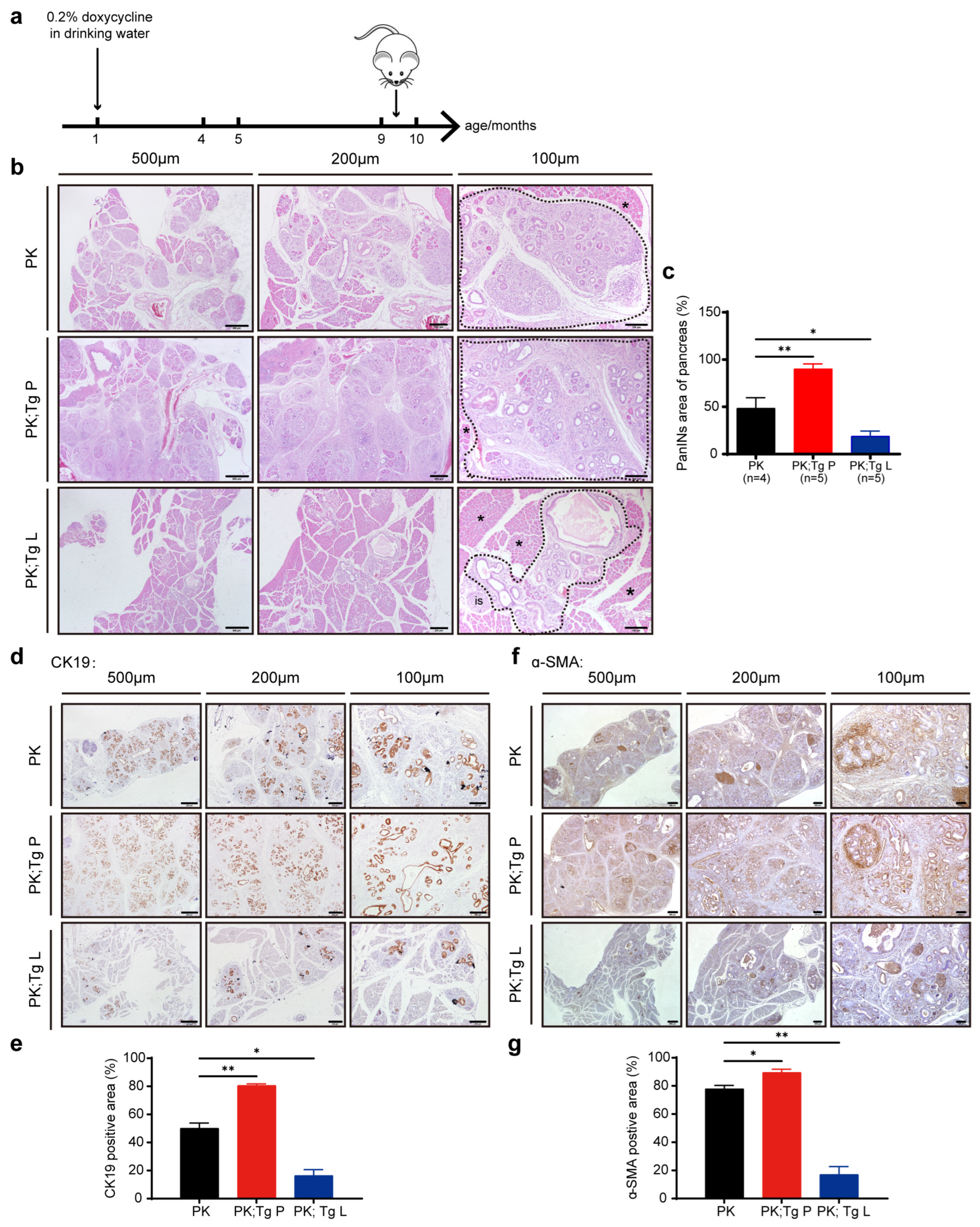 Biomedicines 11 02962 g004