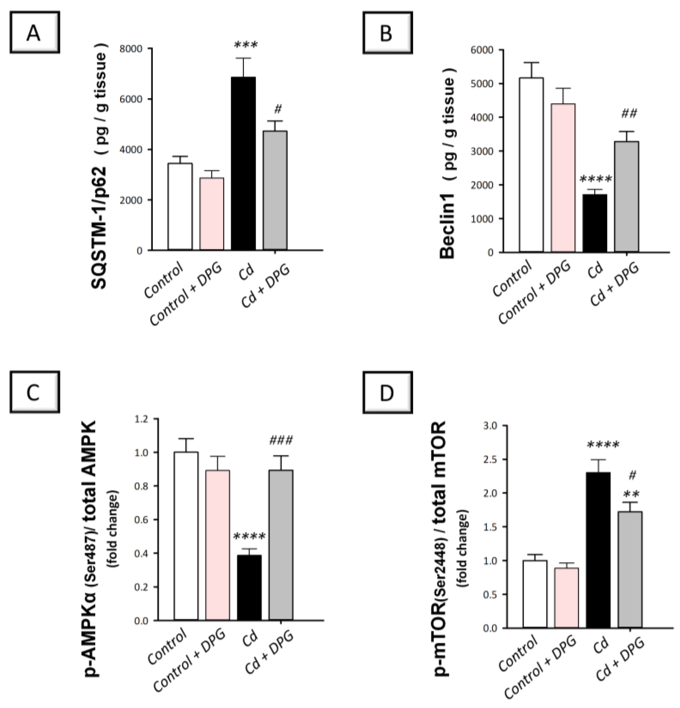 Biomedicines 11 03000 g006
