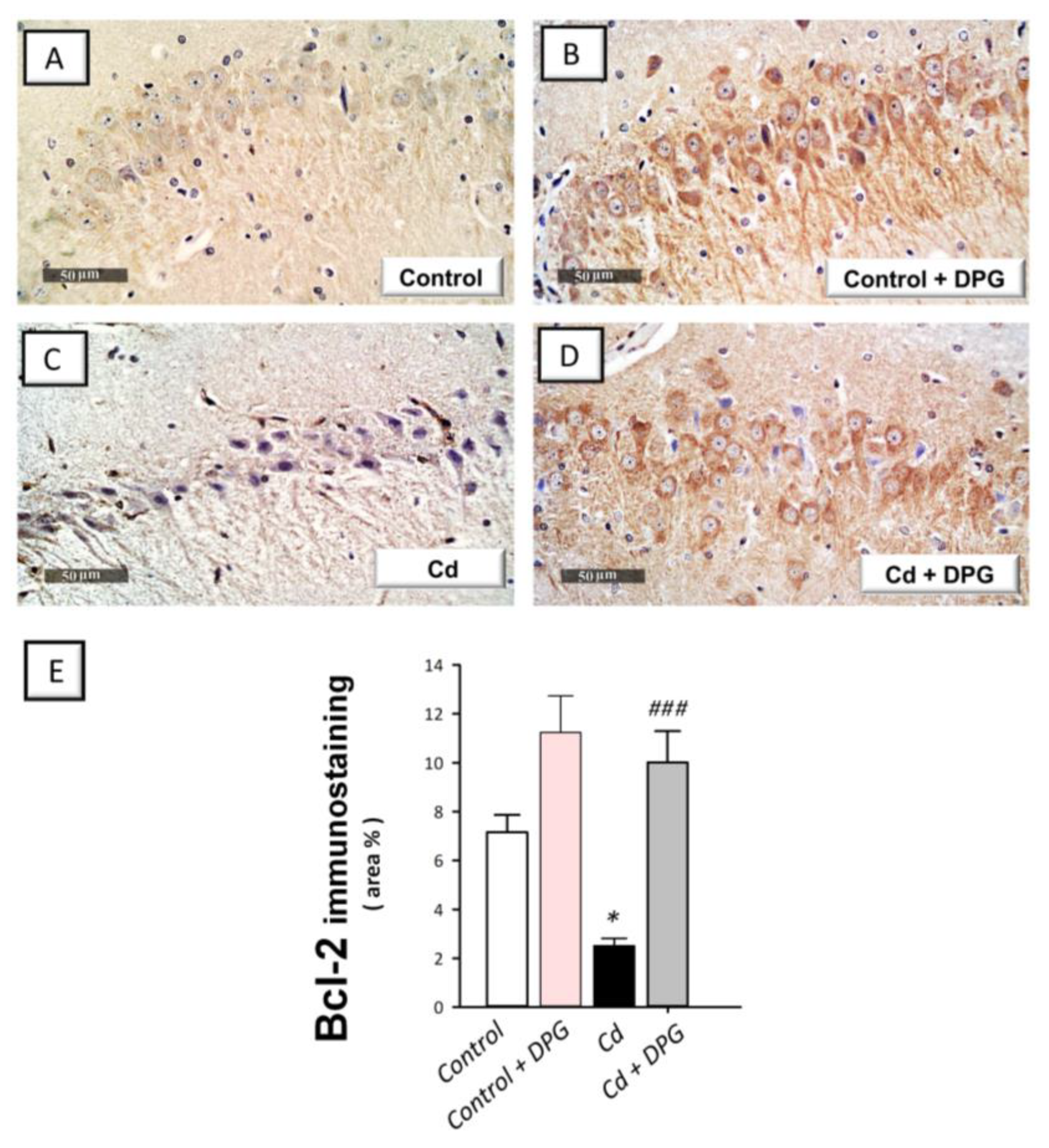 Biomedicines 11 03000 g007