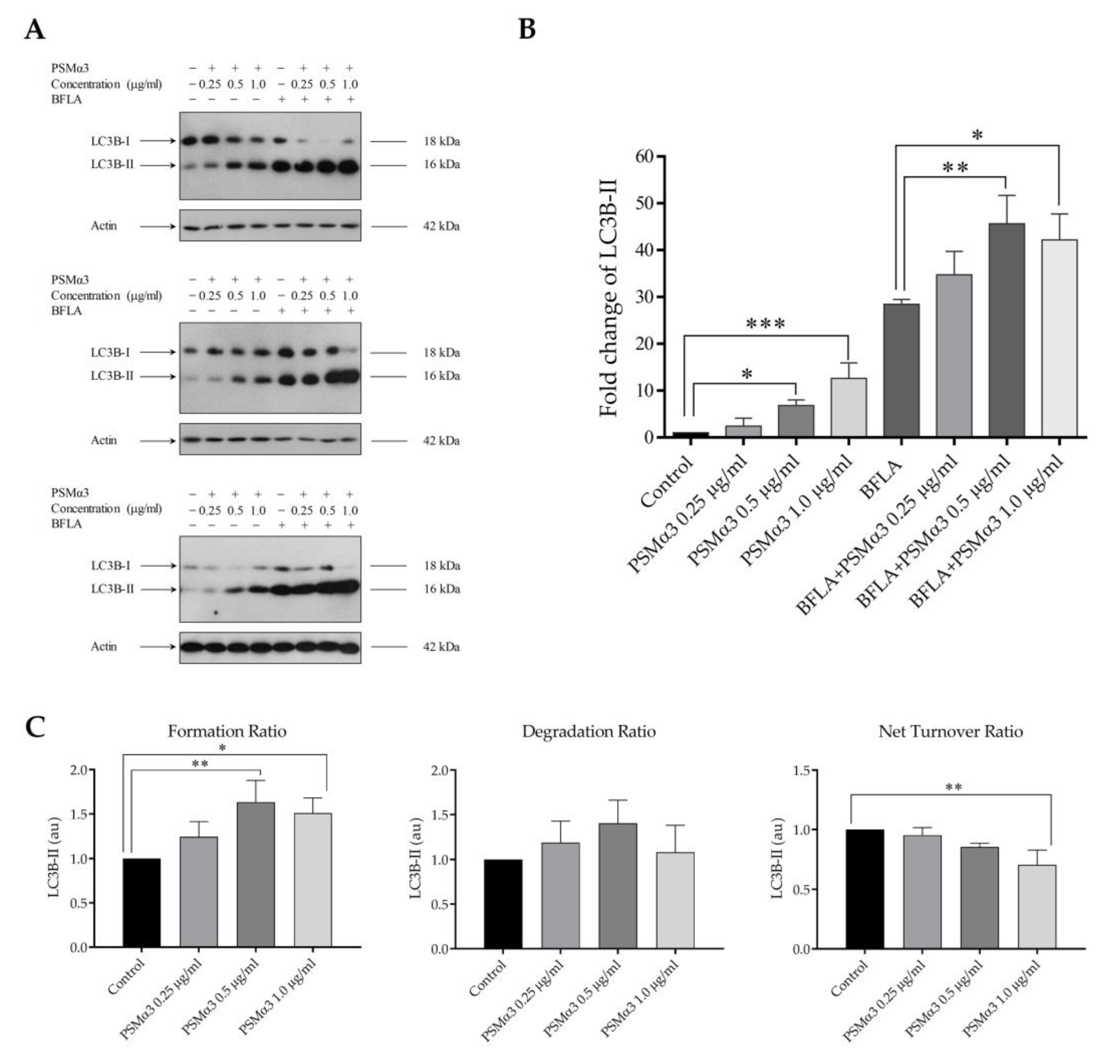 Biomedicines 11 03018 g001