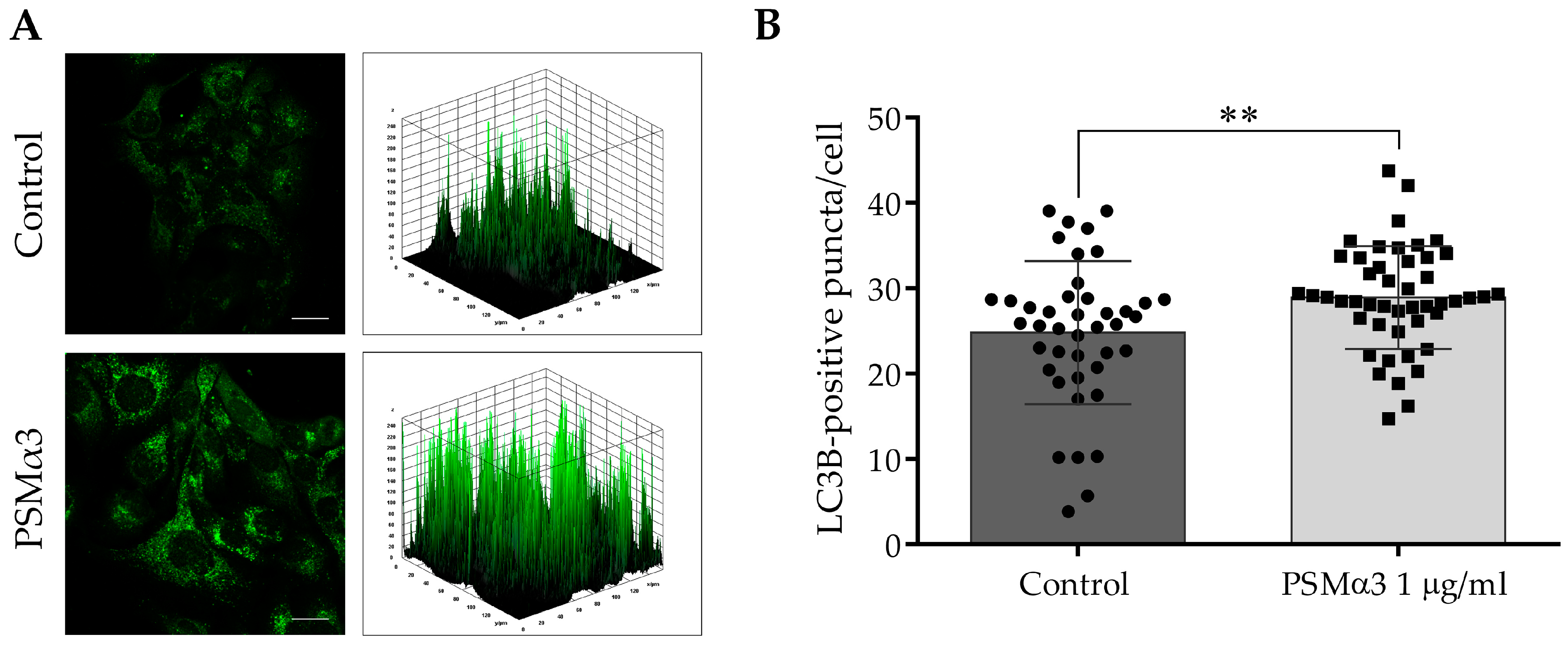 Biomedicines 11 03018 g002