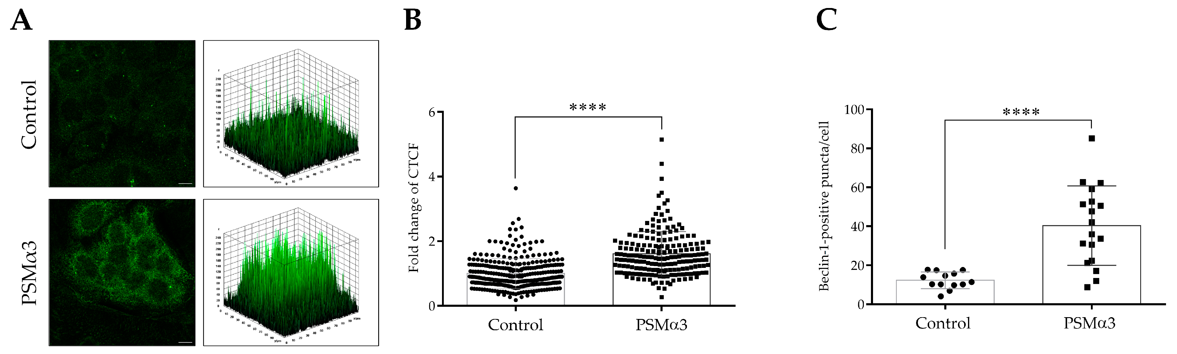 Biomedicines 11 03018 g003