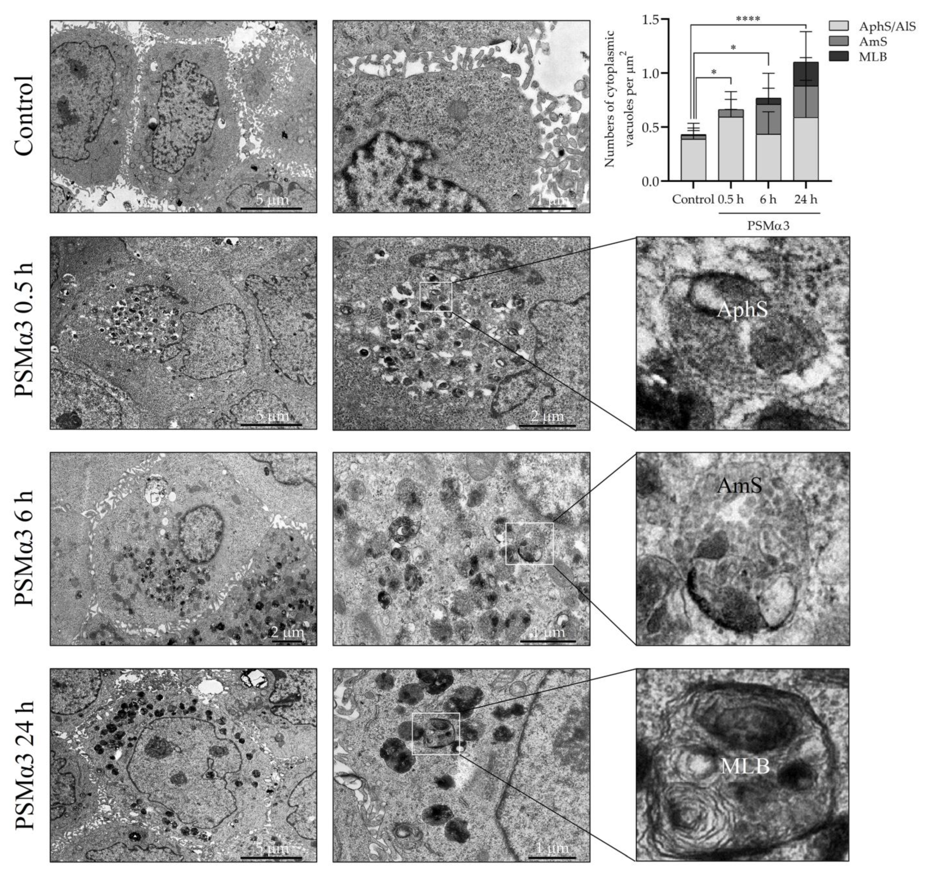Biomedicines 11 03018 g004