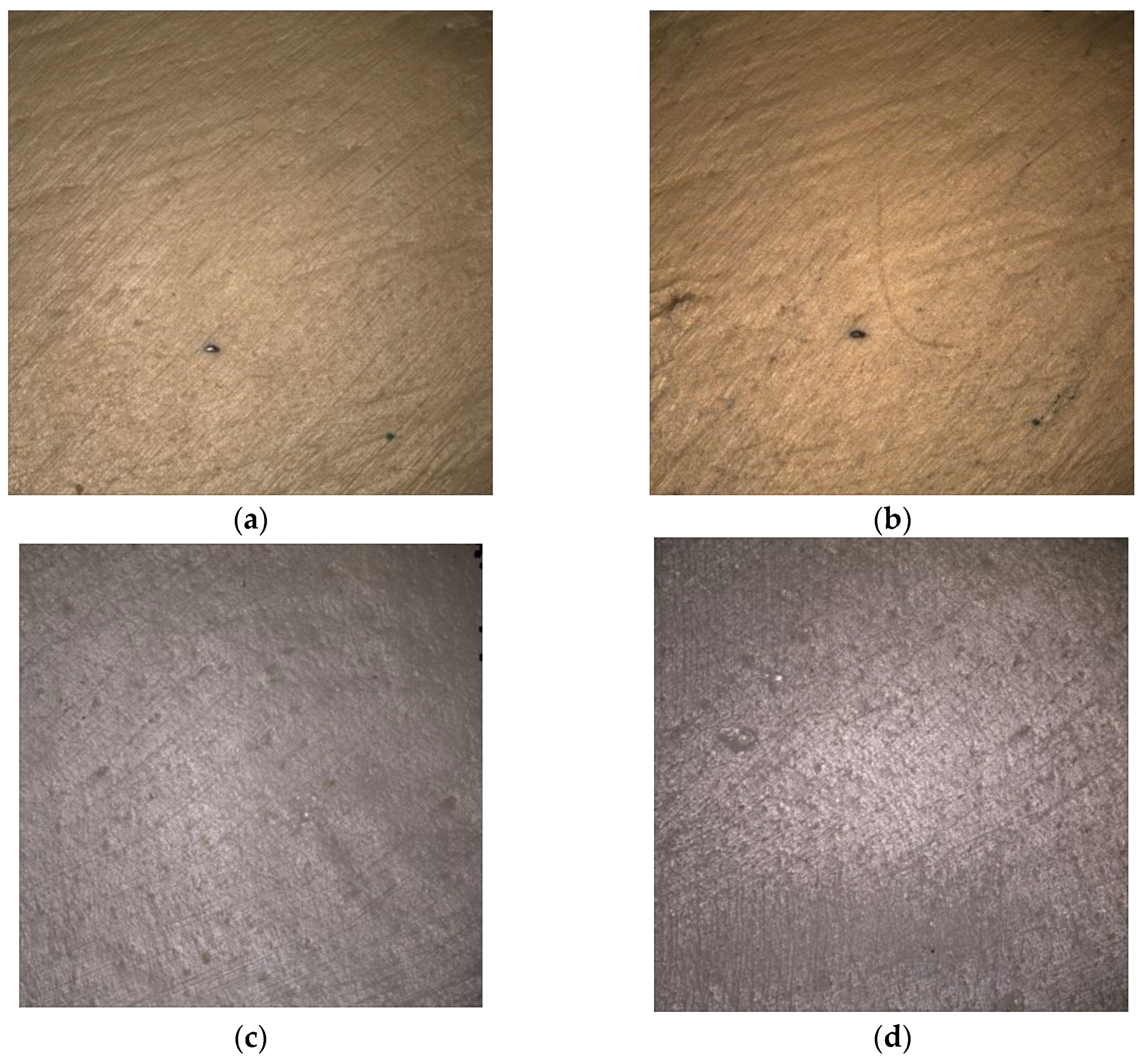 Biomedicines 11 03036 g007